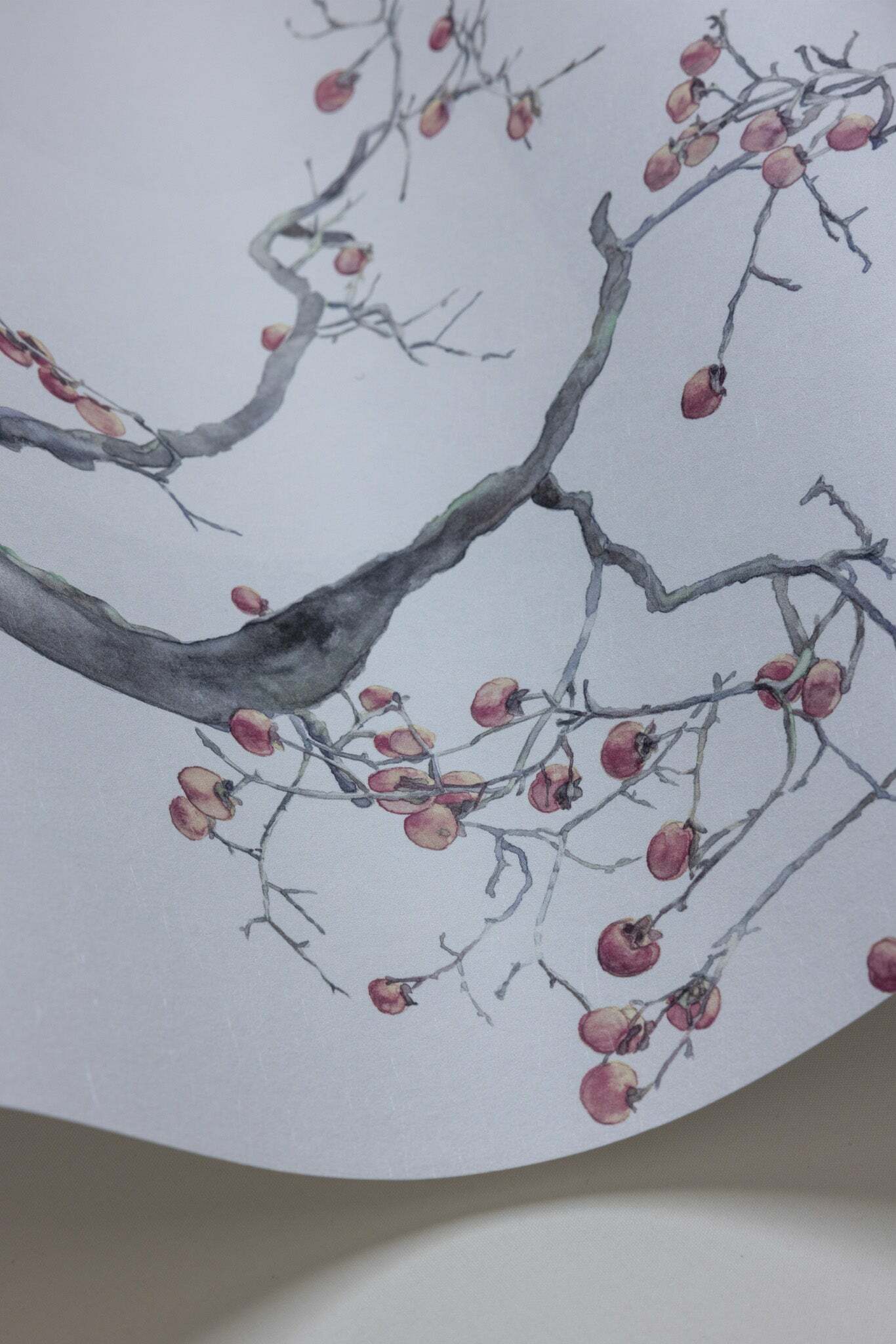 Kaki Persimmon - Silver