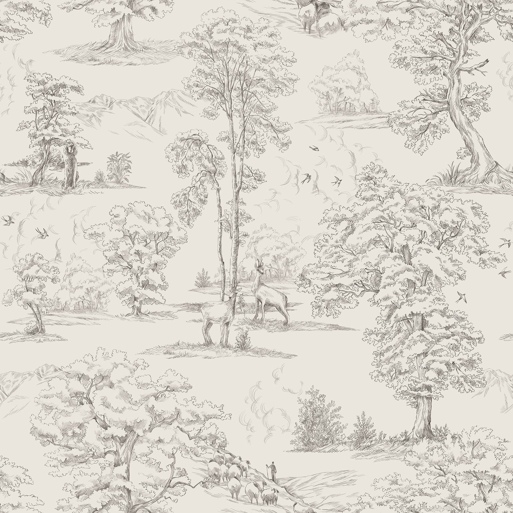 Montfort - Graphite