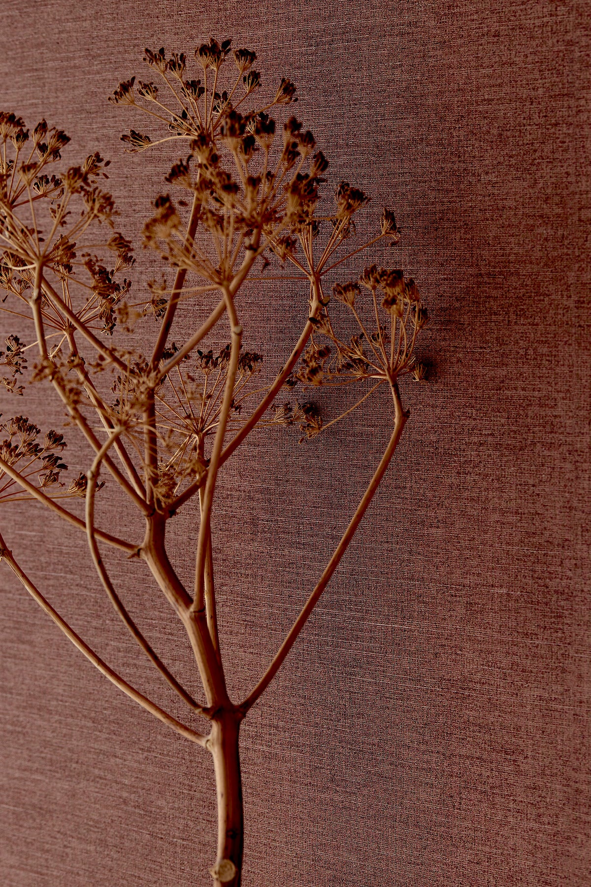 Structured Linen - Brown