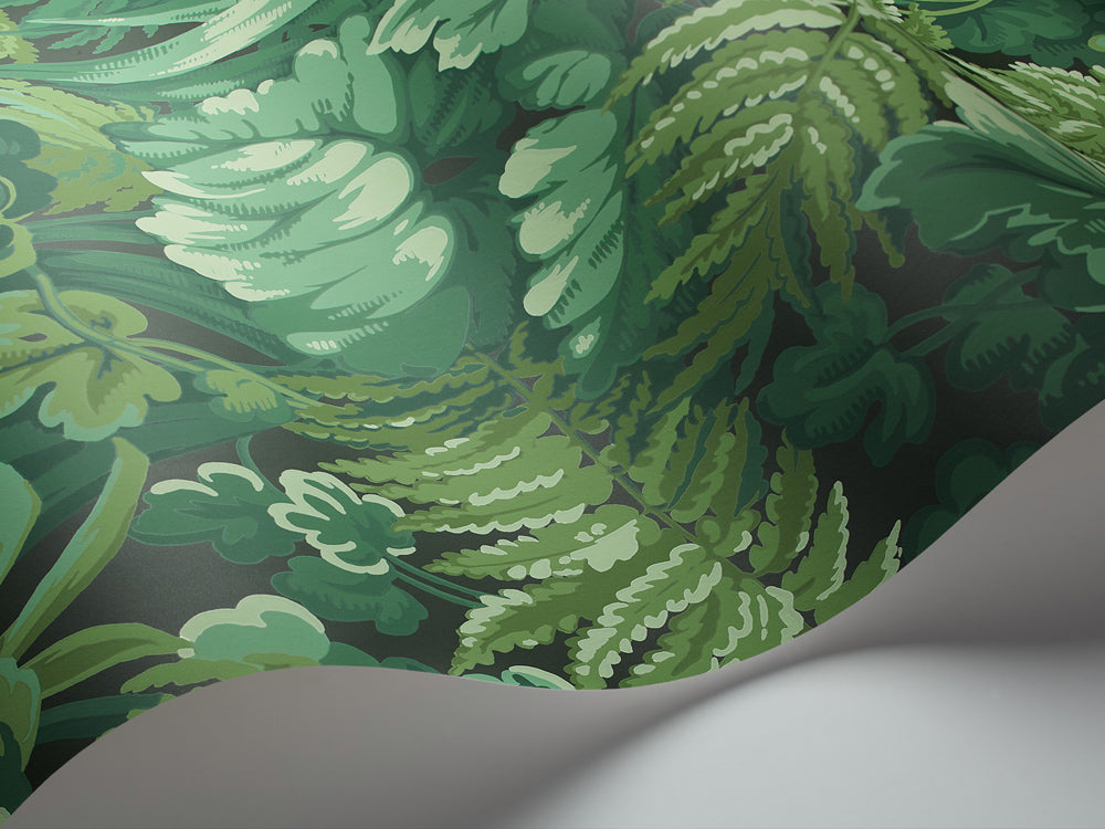 Royal Fernery - Forest Green
