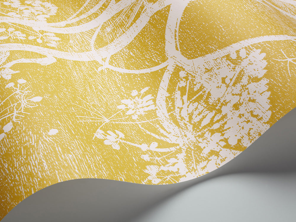 Cow Parsley - Chaurtreuse