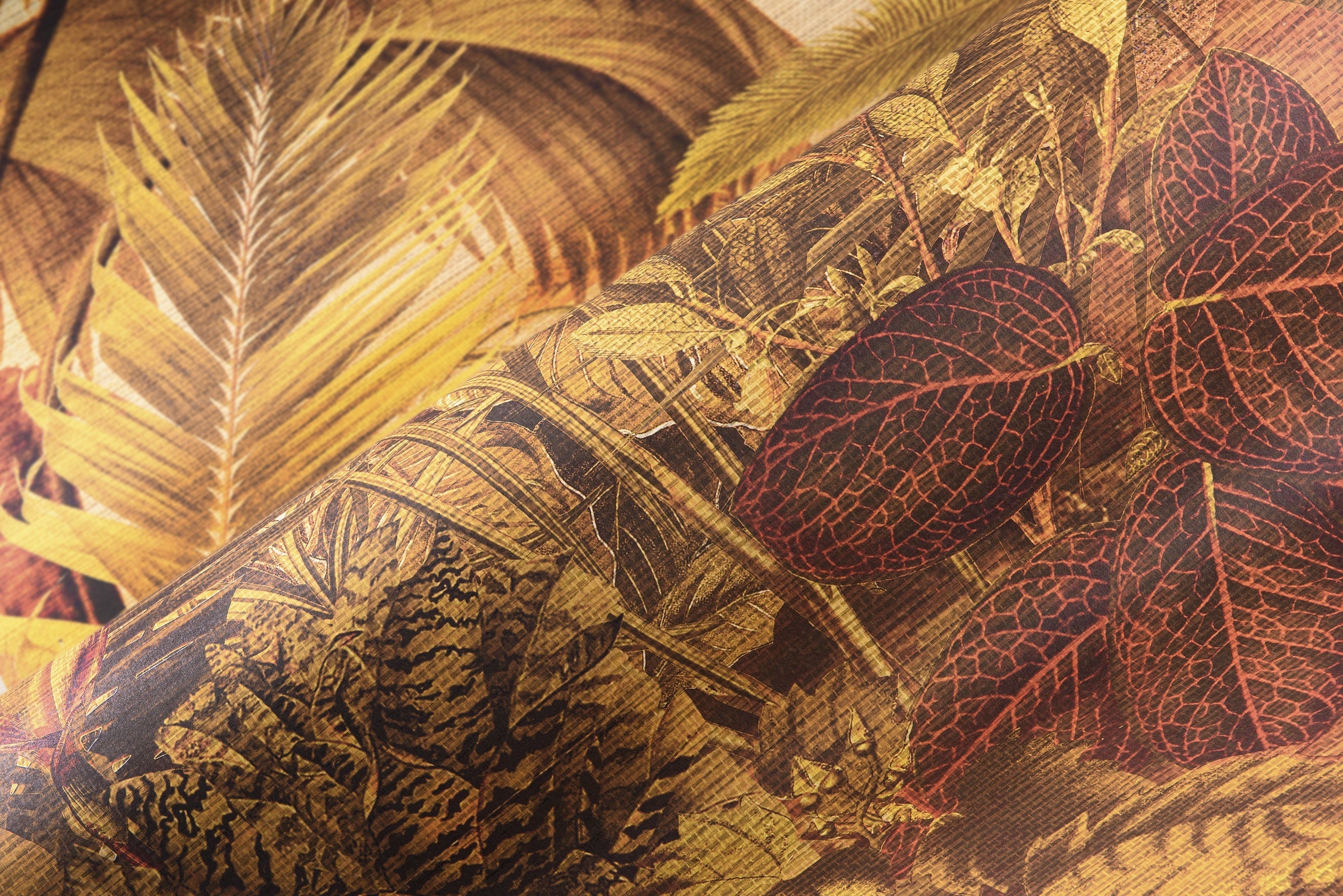 Rêverie Tropicale - Golden Hour