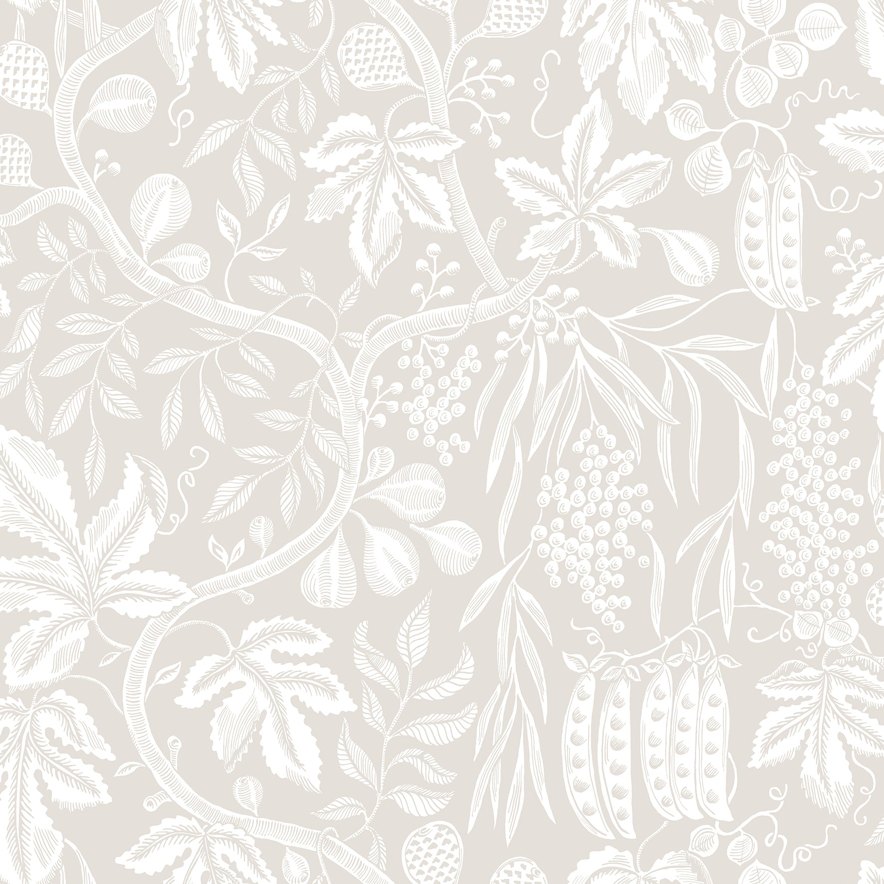 Fig Garden - Sandstone