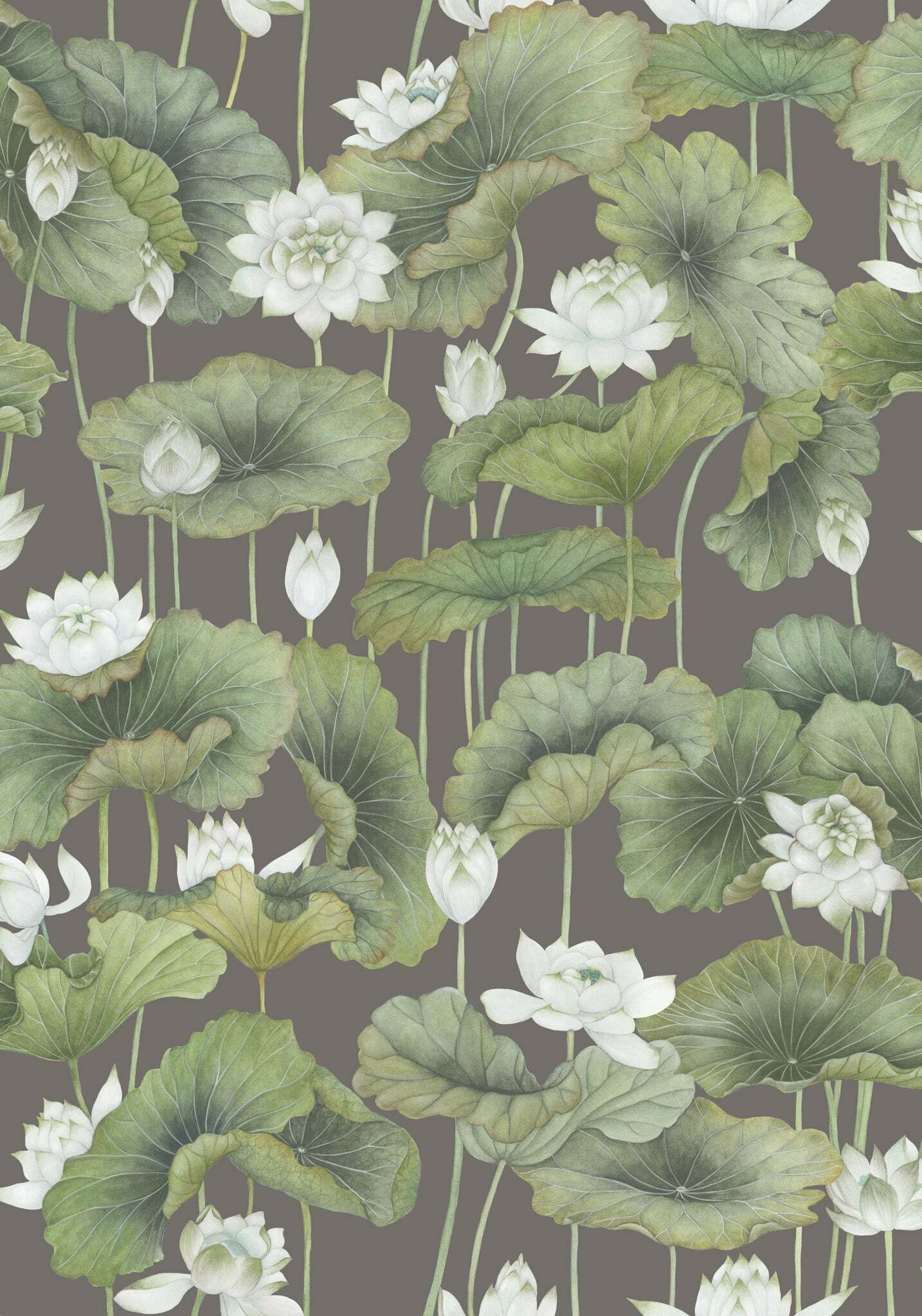 Lily Lotus - White on Charcoal