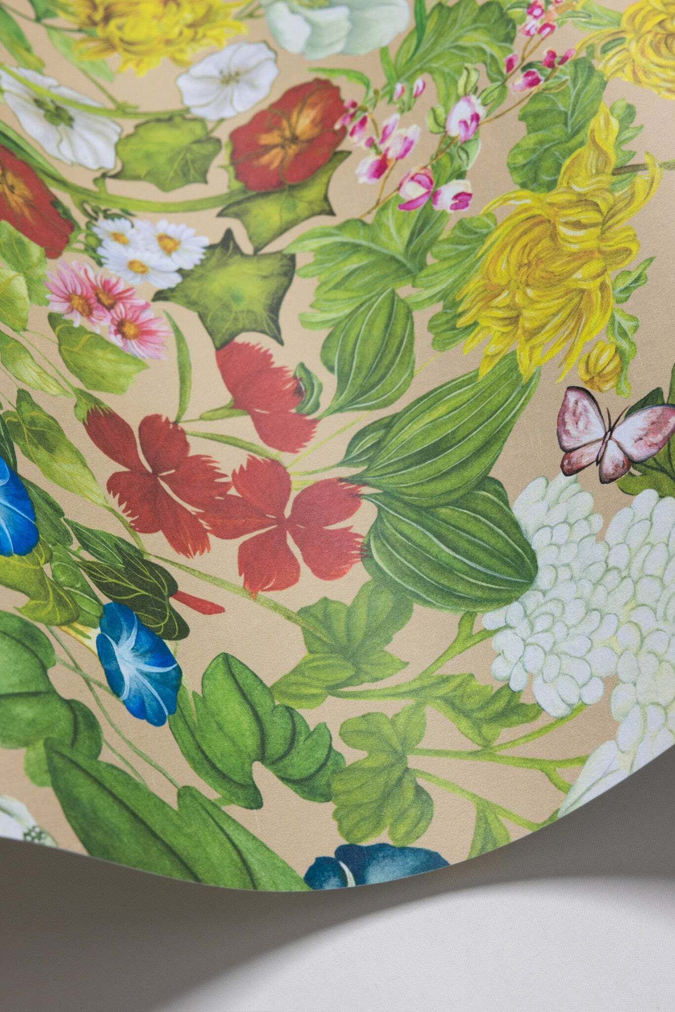 Flora Province - Taupe