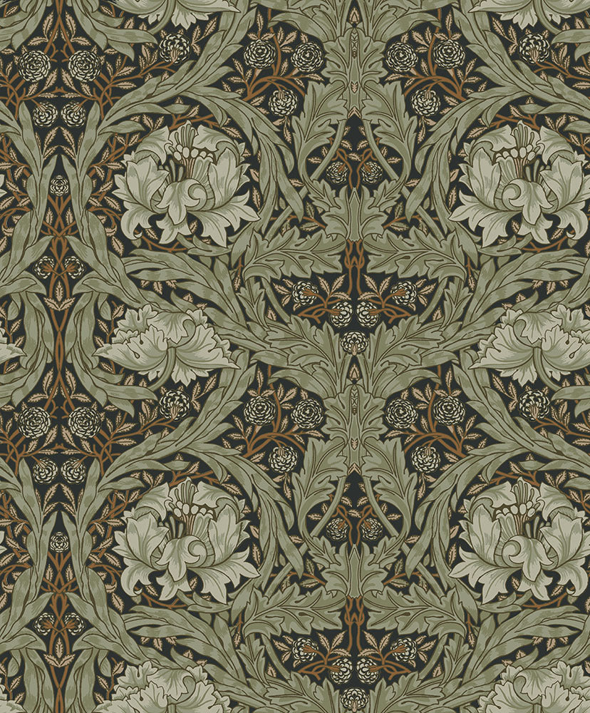 African Marigold - Black & Green
