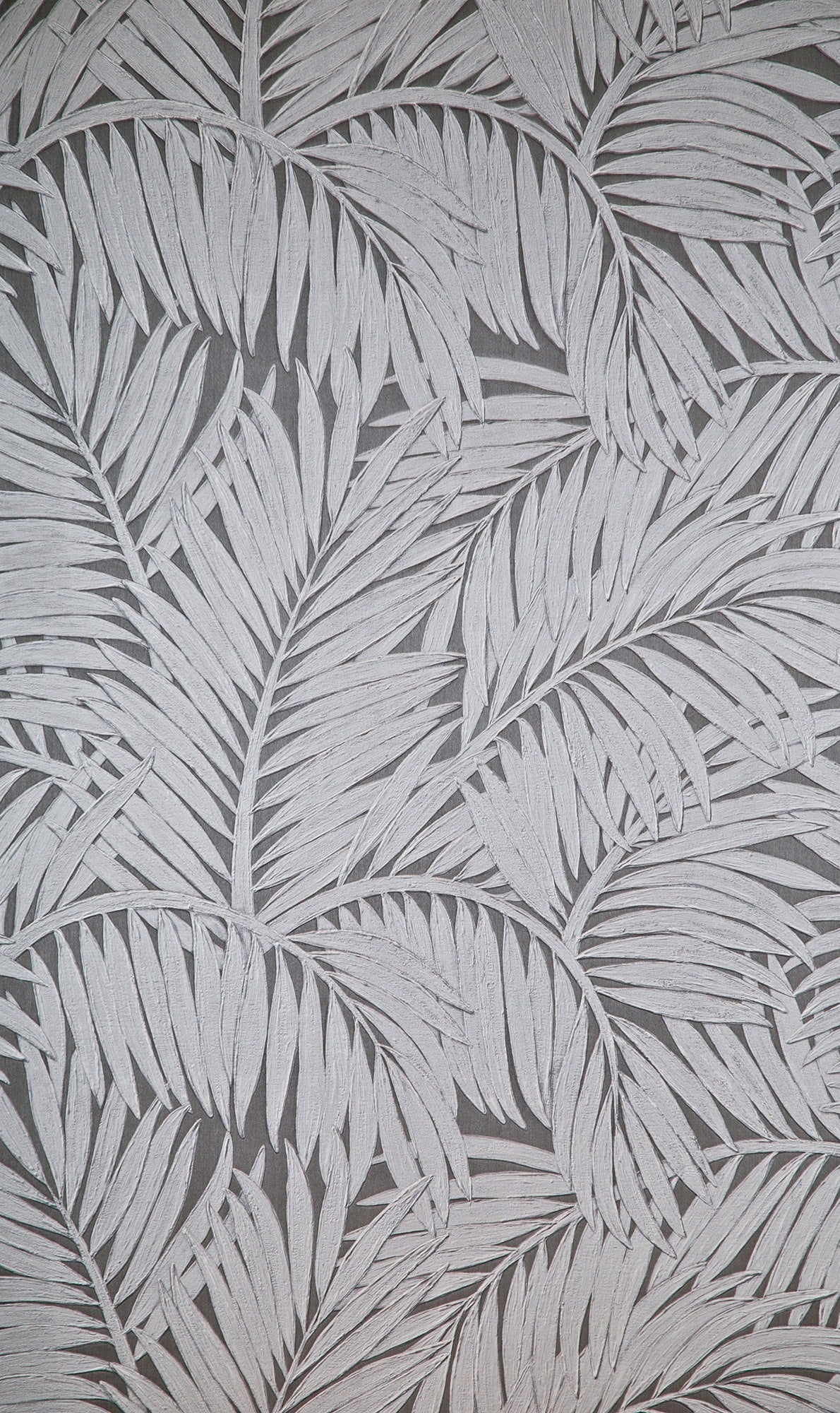 Sabal - Silver Forest