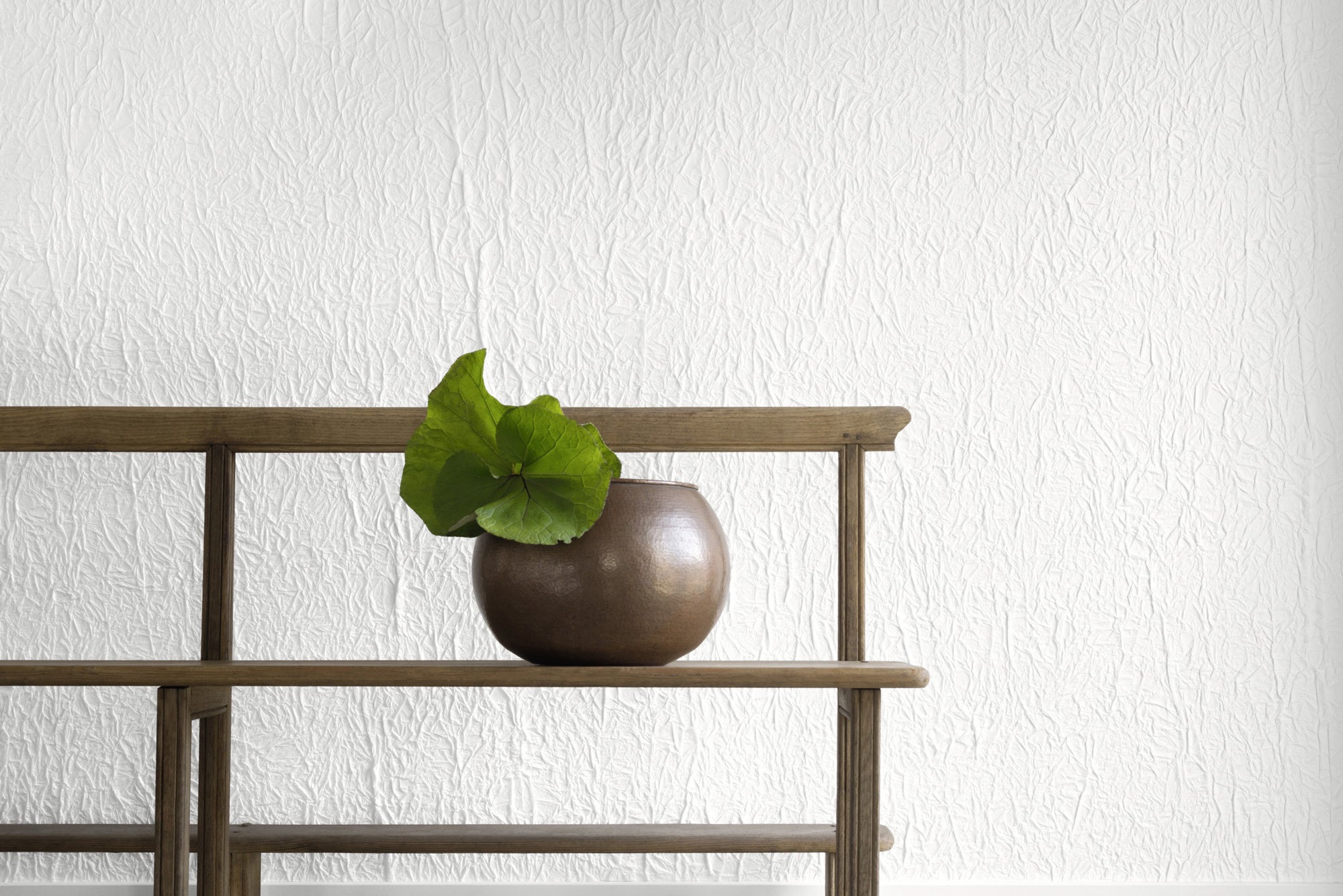 Washi - Splendeurs d’une favorite - White
