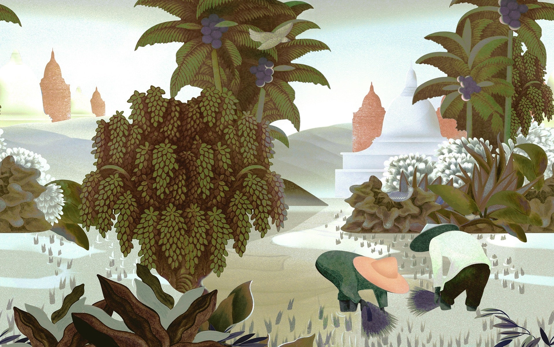 Hills of Sapa - Dawn
