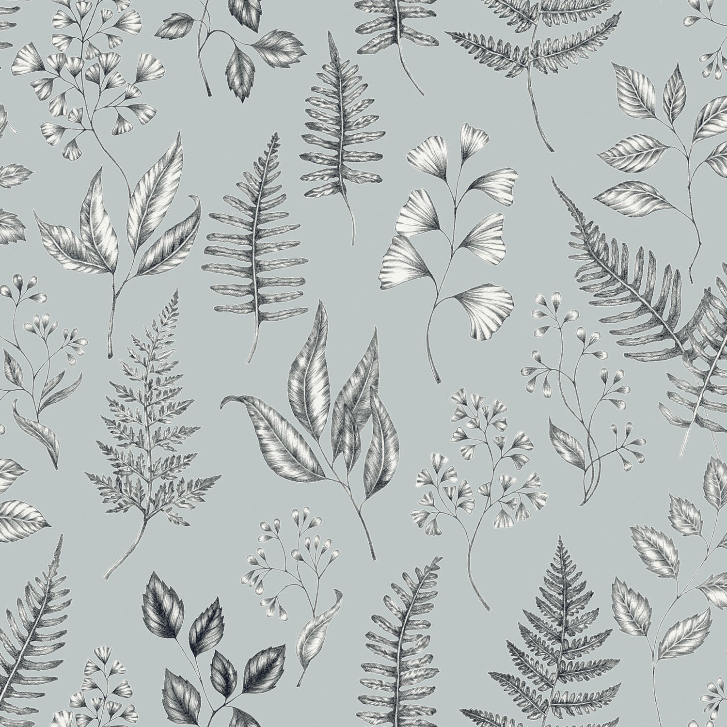 Betula - Light Blue
