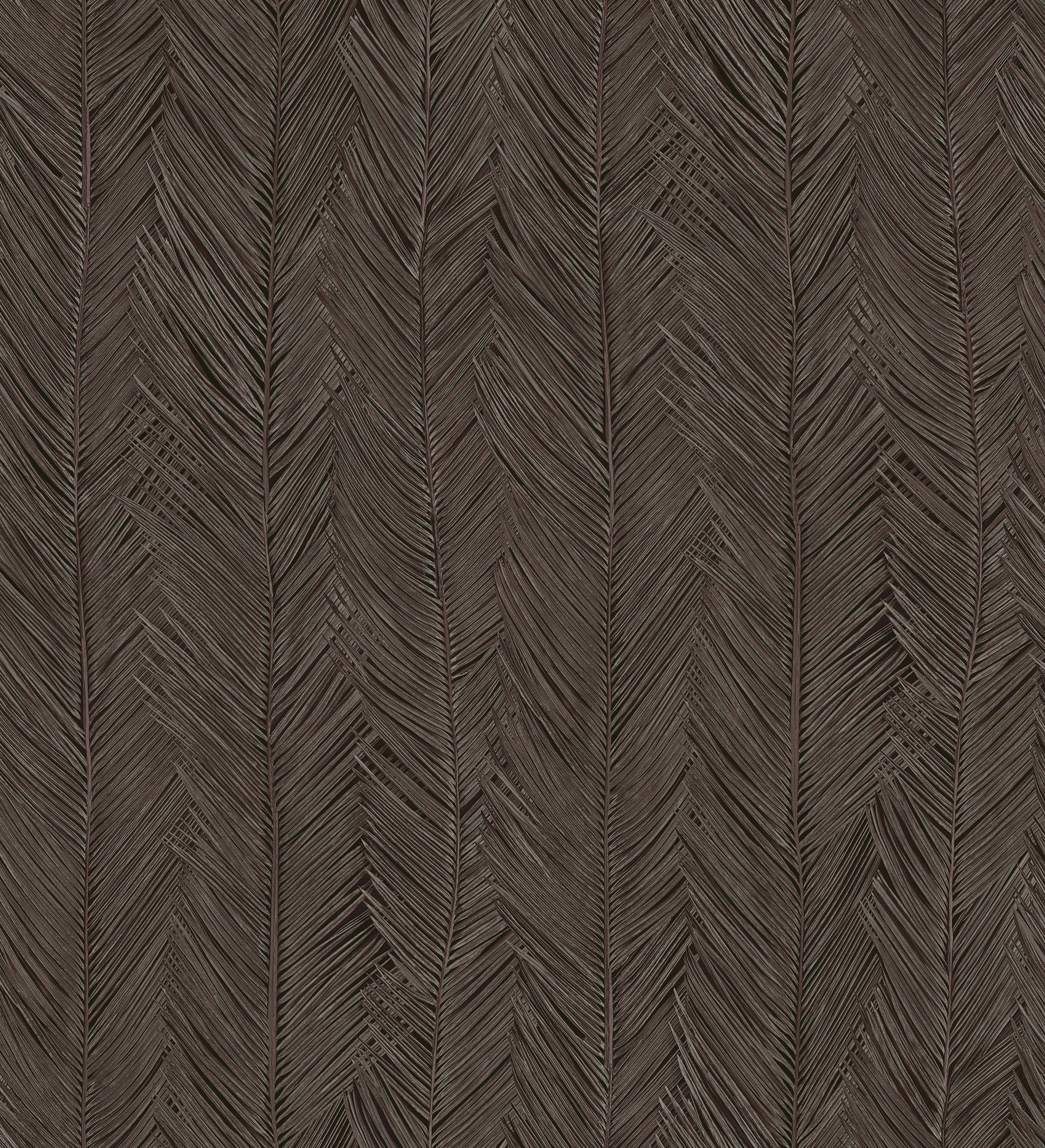 Itaya - Graphite