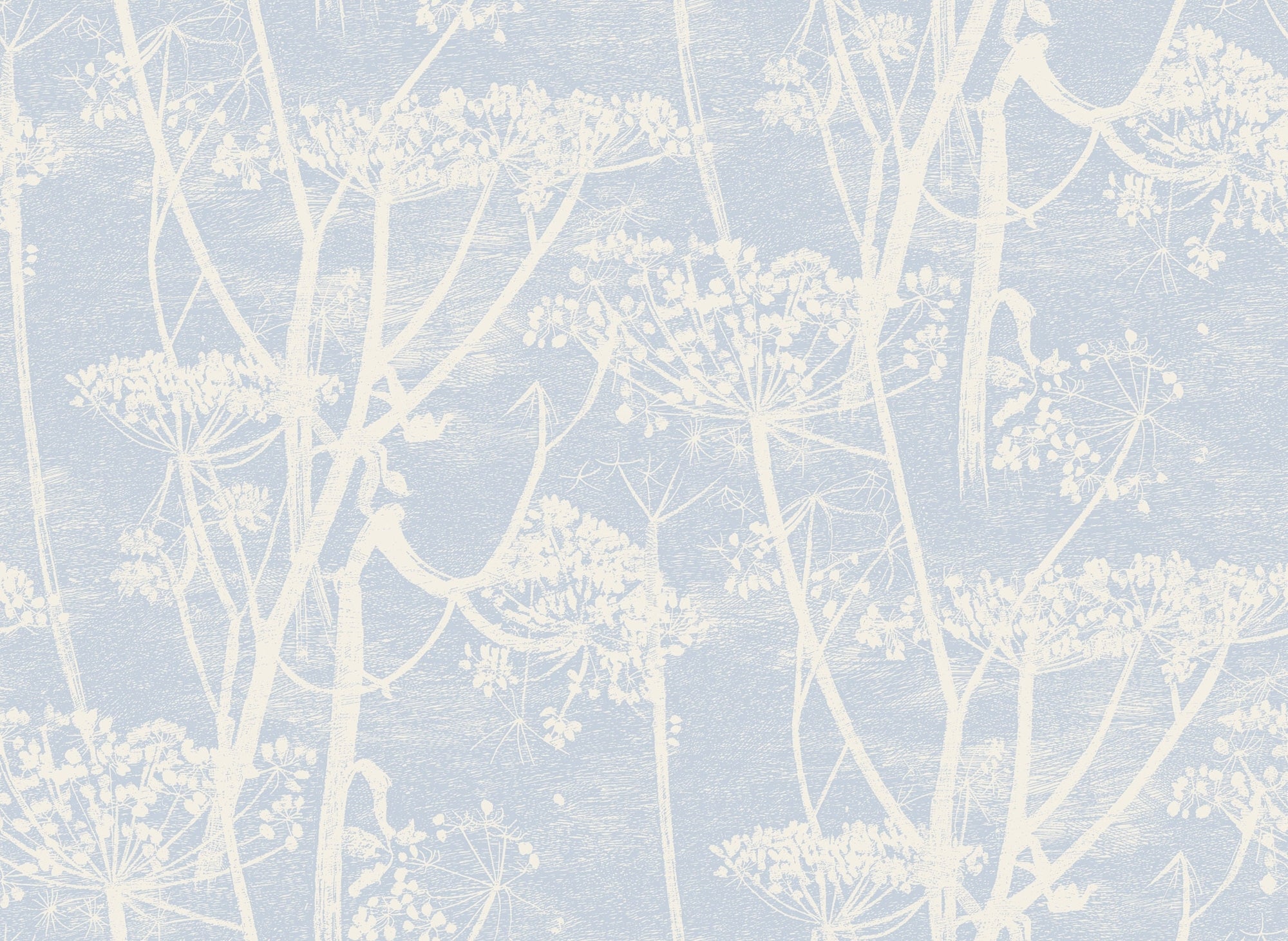 Cow Parsley - Light Blue