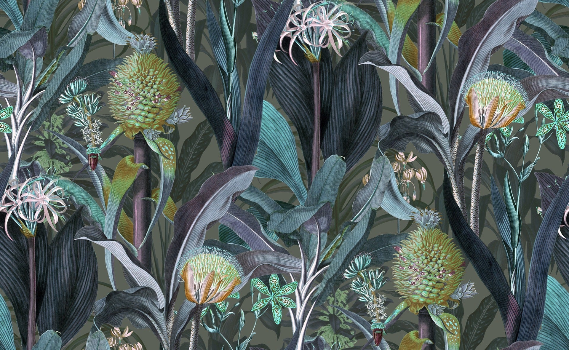 Blooming Pineapple - Peacock
