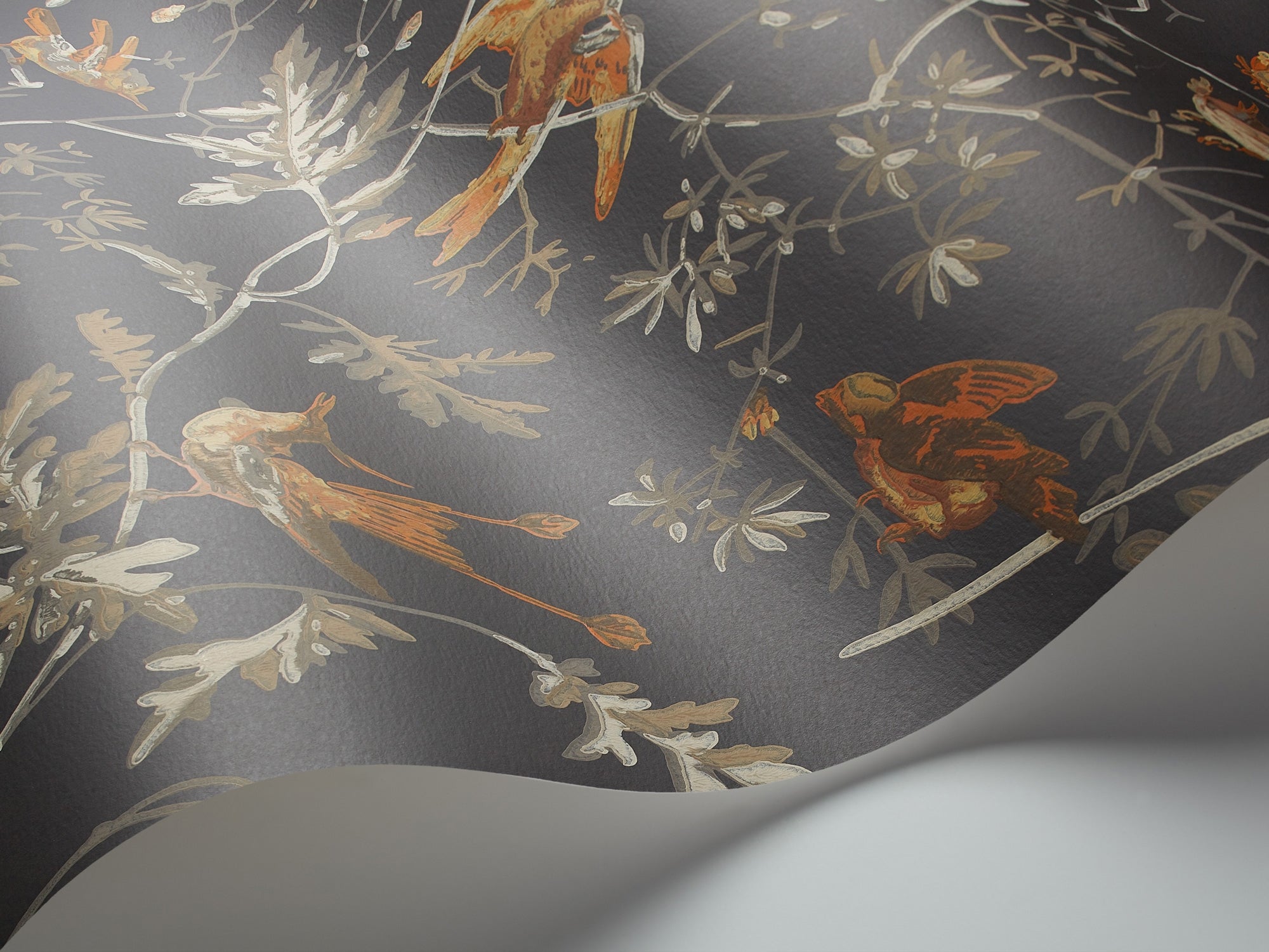 Hummingbirds - Charcoal & Ginger