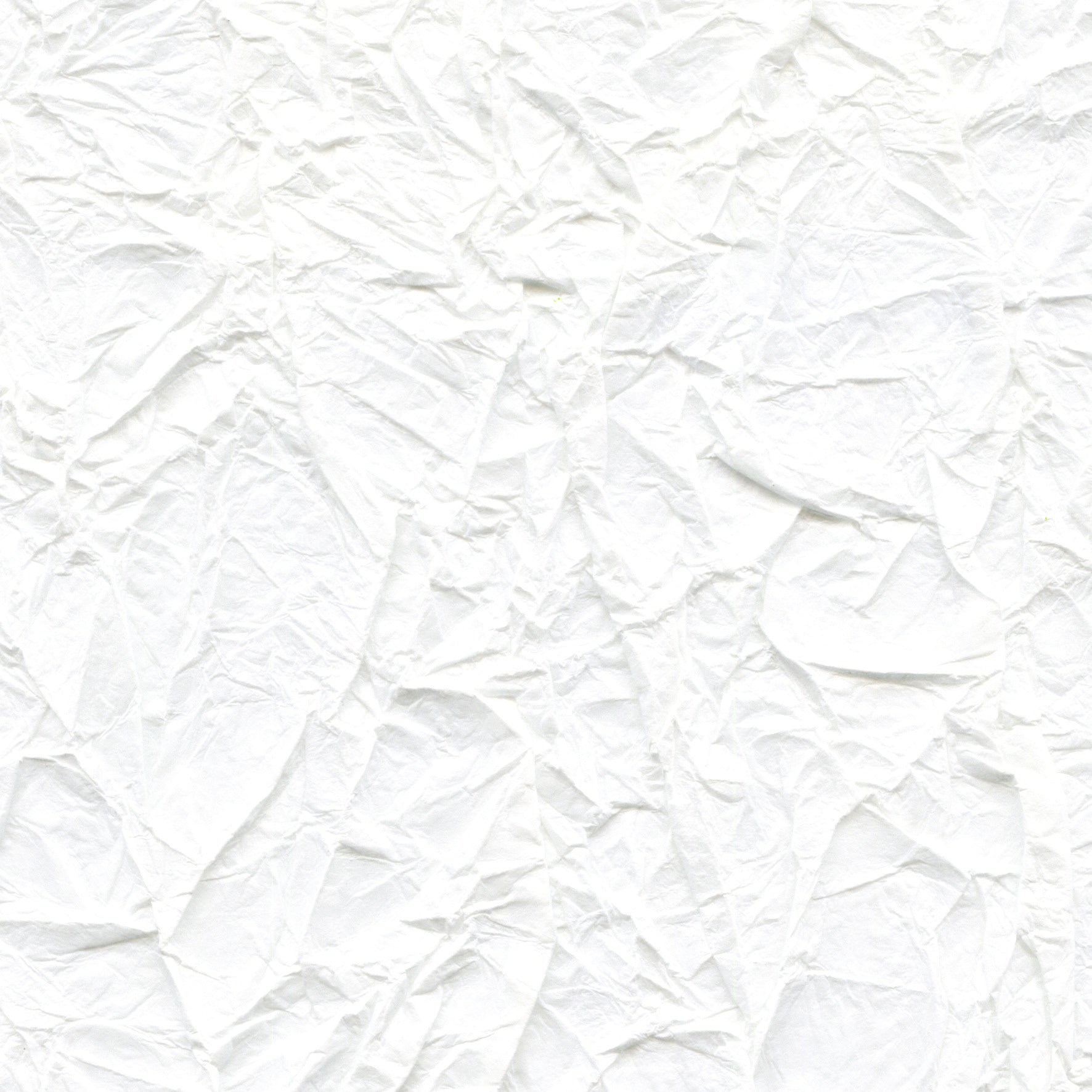 Washi - Splendeurs d’une favorite - White