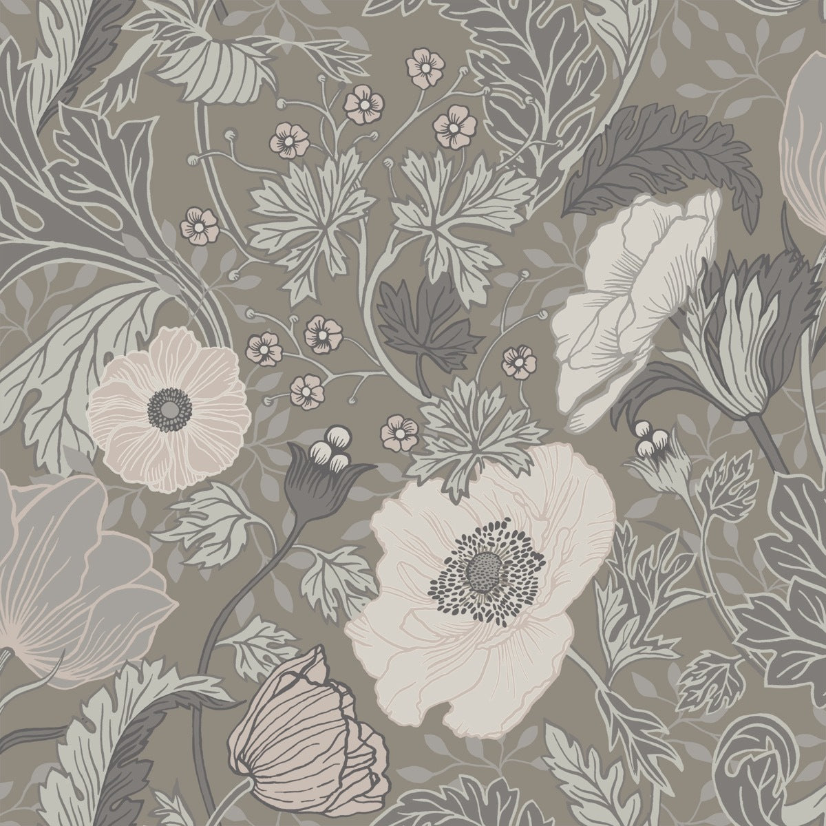 Anemone - Grey