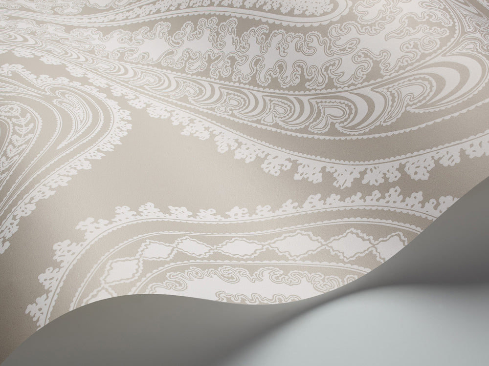 Rajapur - Chalk on Taupe