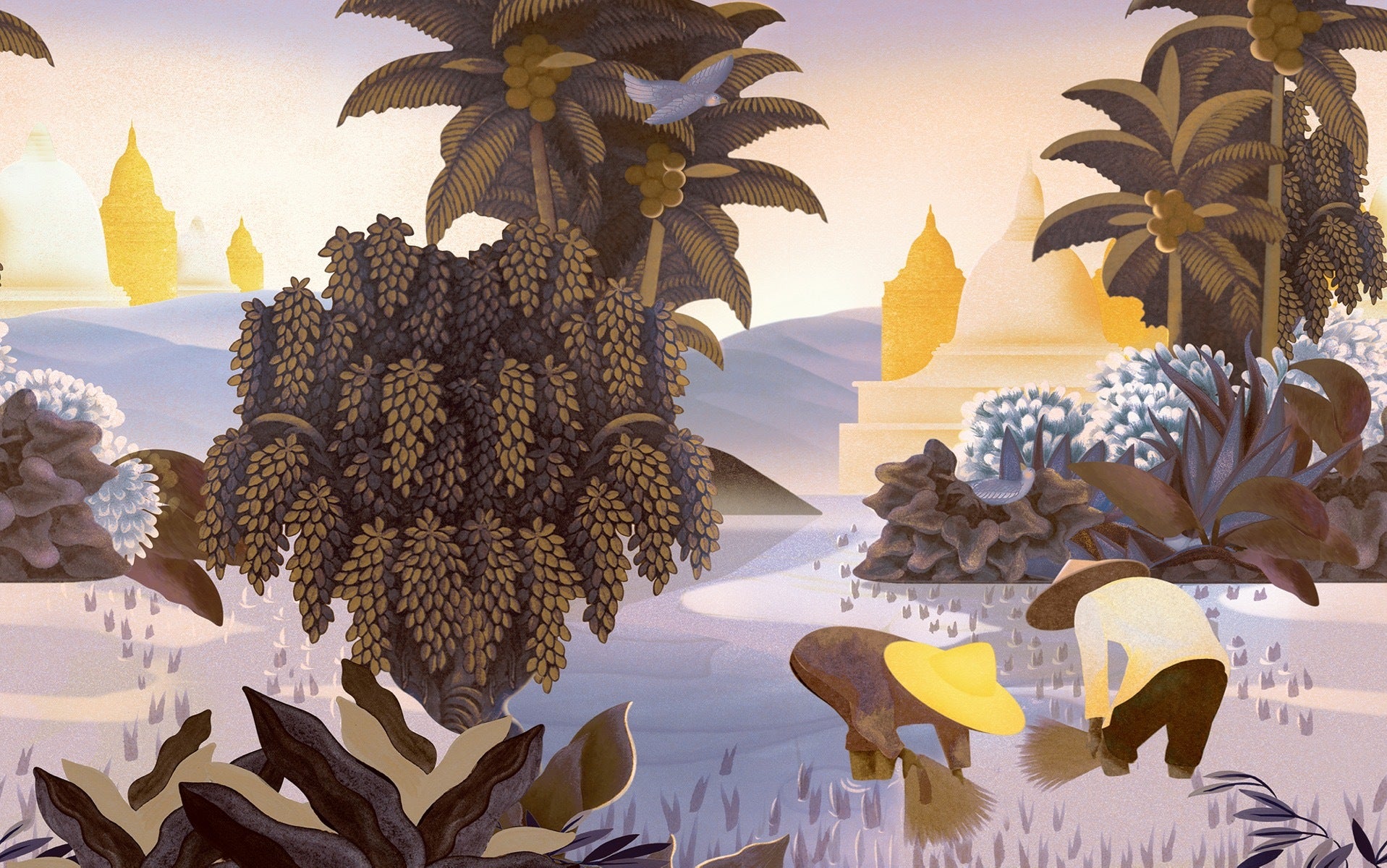 Hills of Sapa - Twilight