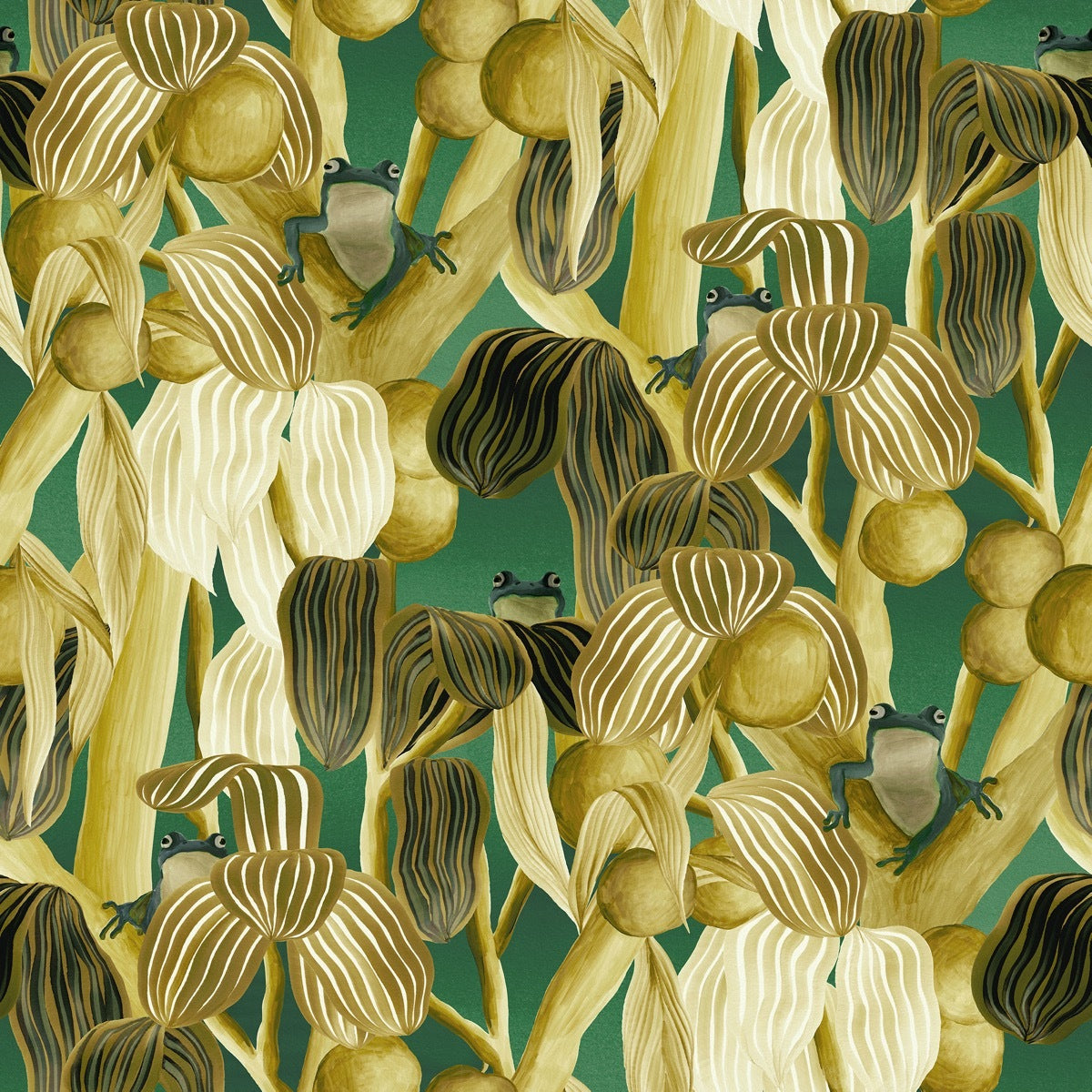 Les Grenouilles de Chavroches - Camouflage