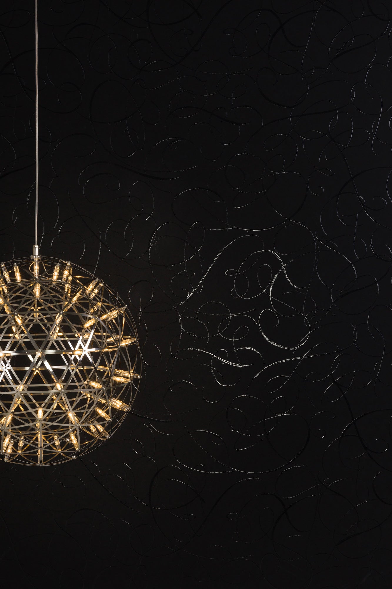 Calligraphy Bird - Midnight