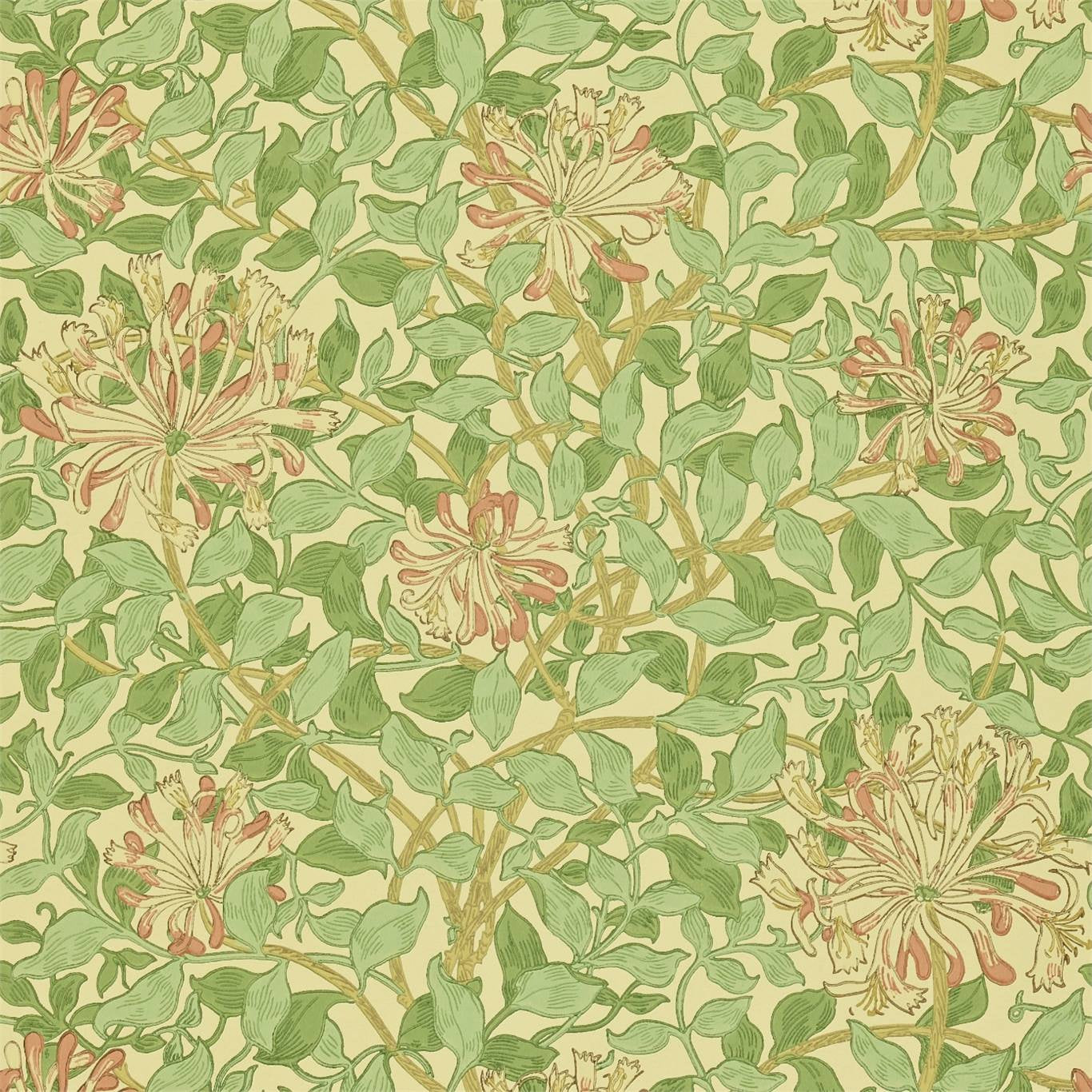 Honeysuckle - Green/Beige/Pink