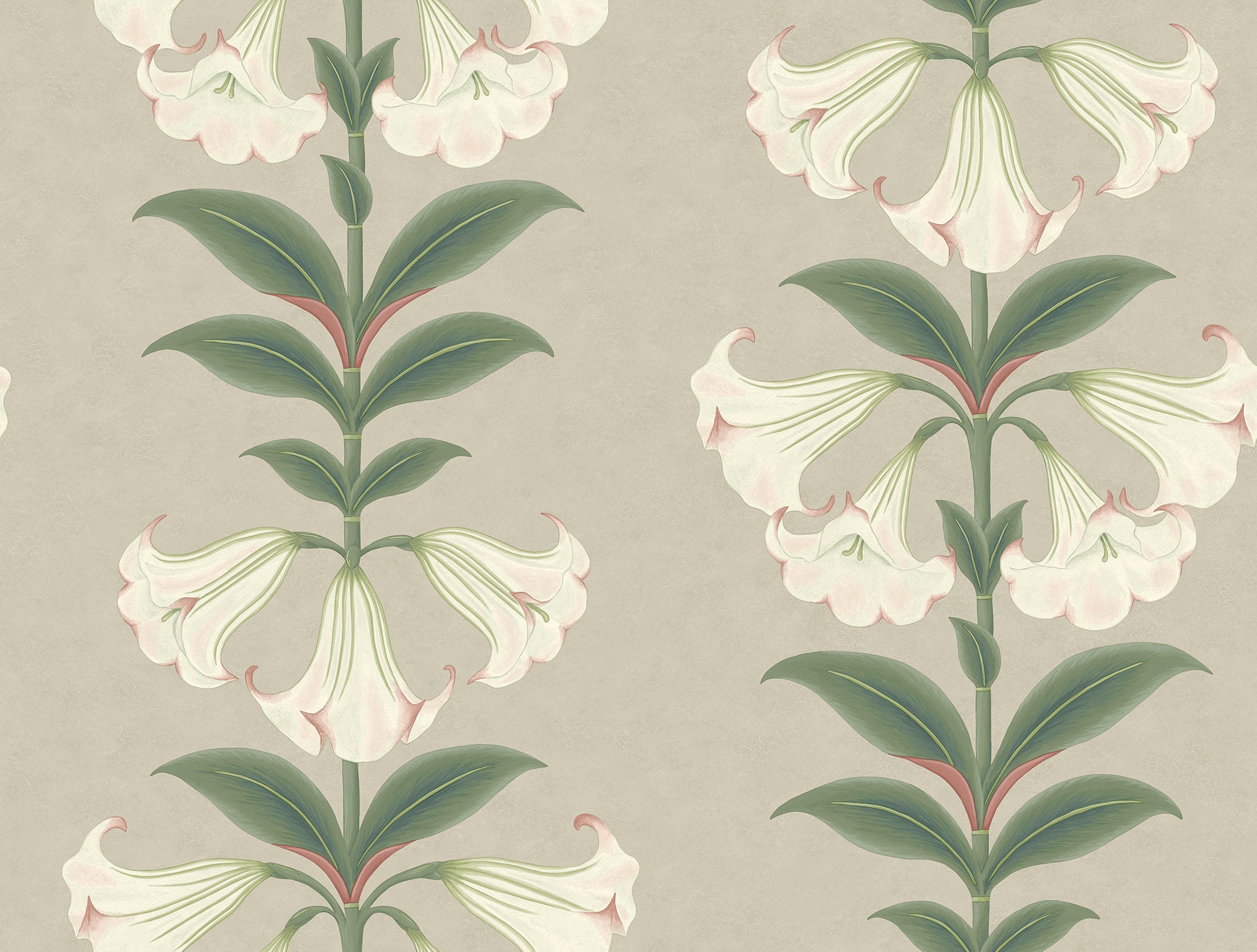 Angel’s Trumpet - Chalk & Sage
