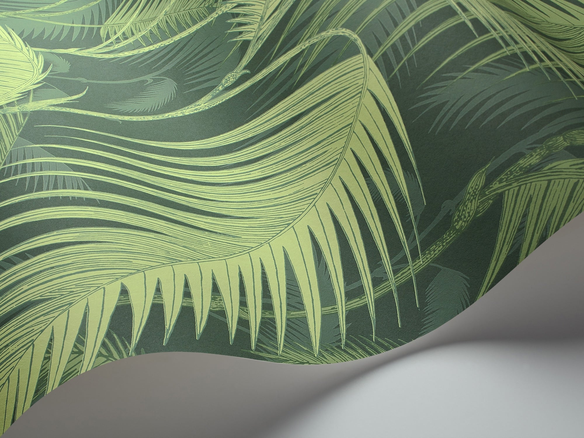 Palm Jungle - Forest Green