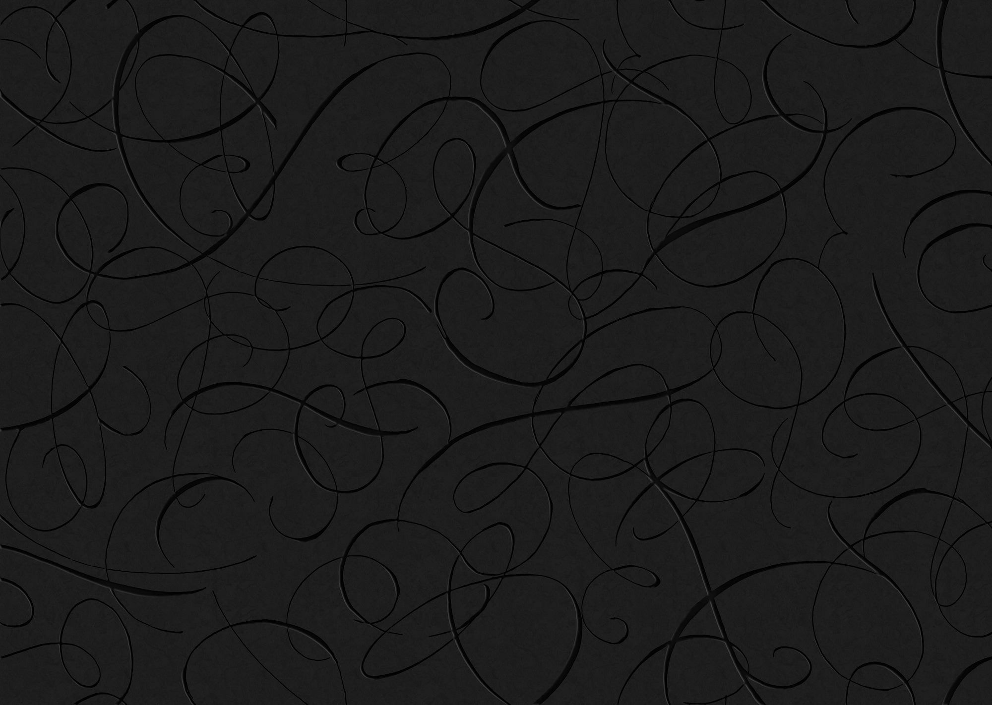 Calligraphy Bird - Midnight