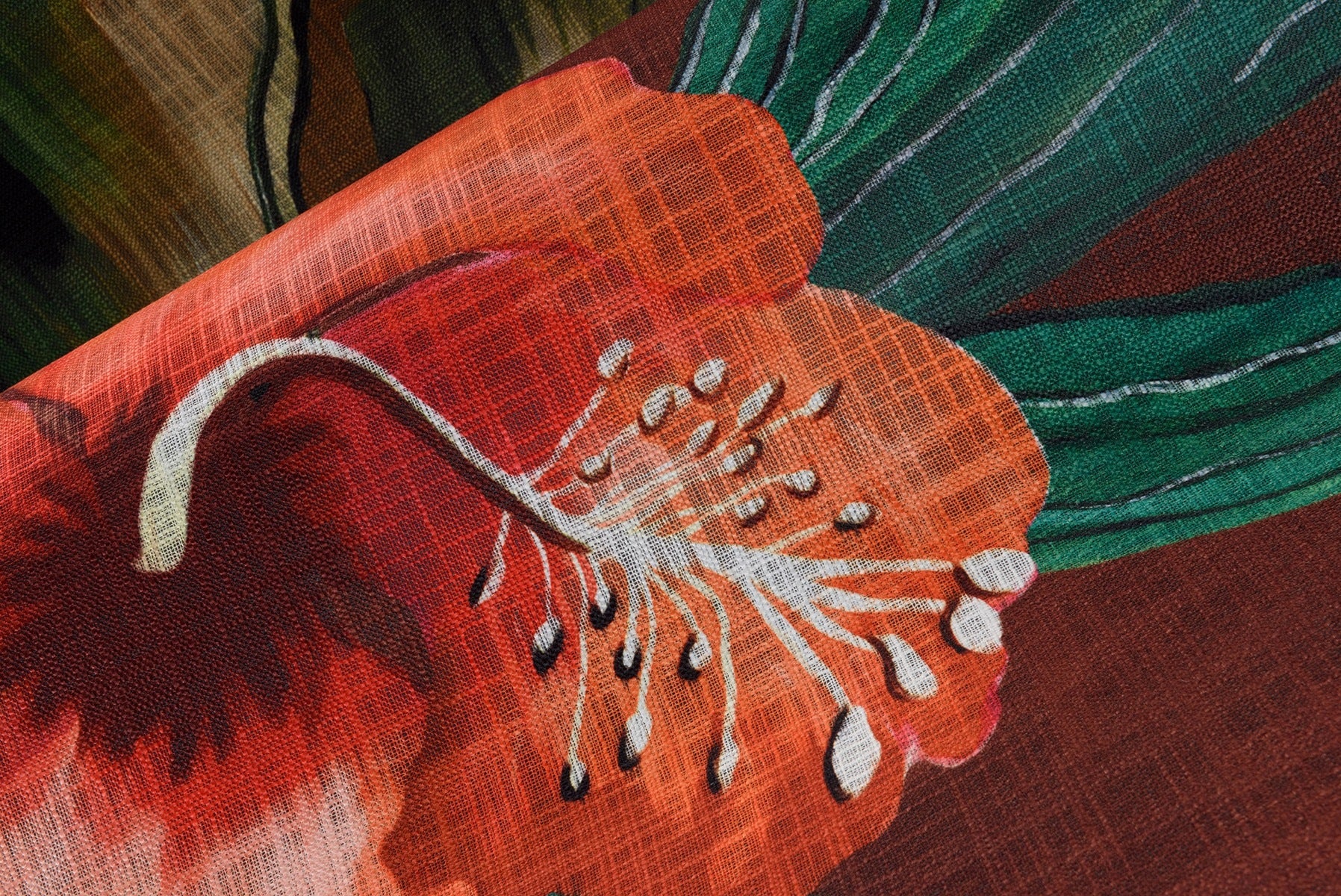 Les mysteres de Madagascar - Marrakech