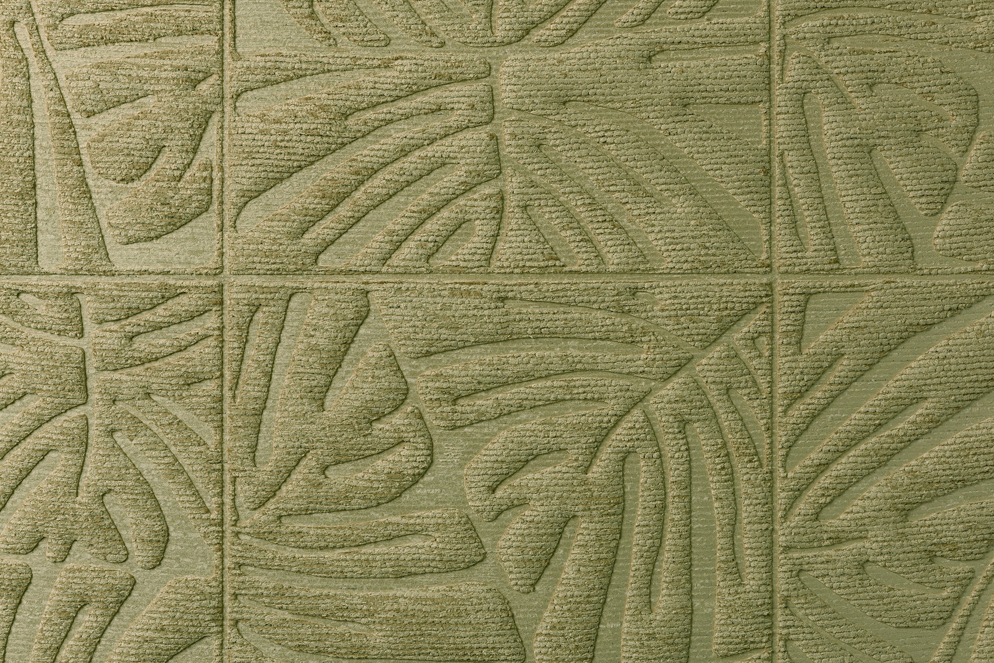 Monstera - Olive