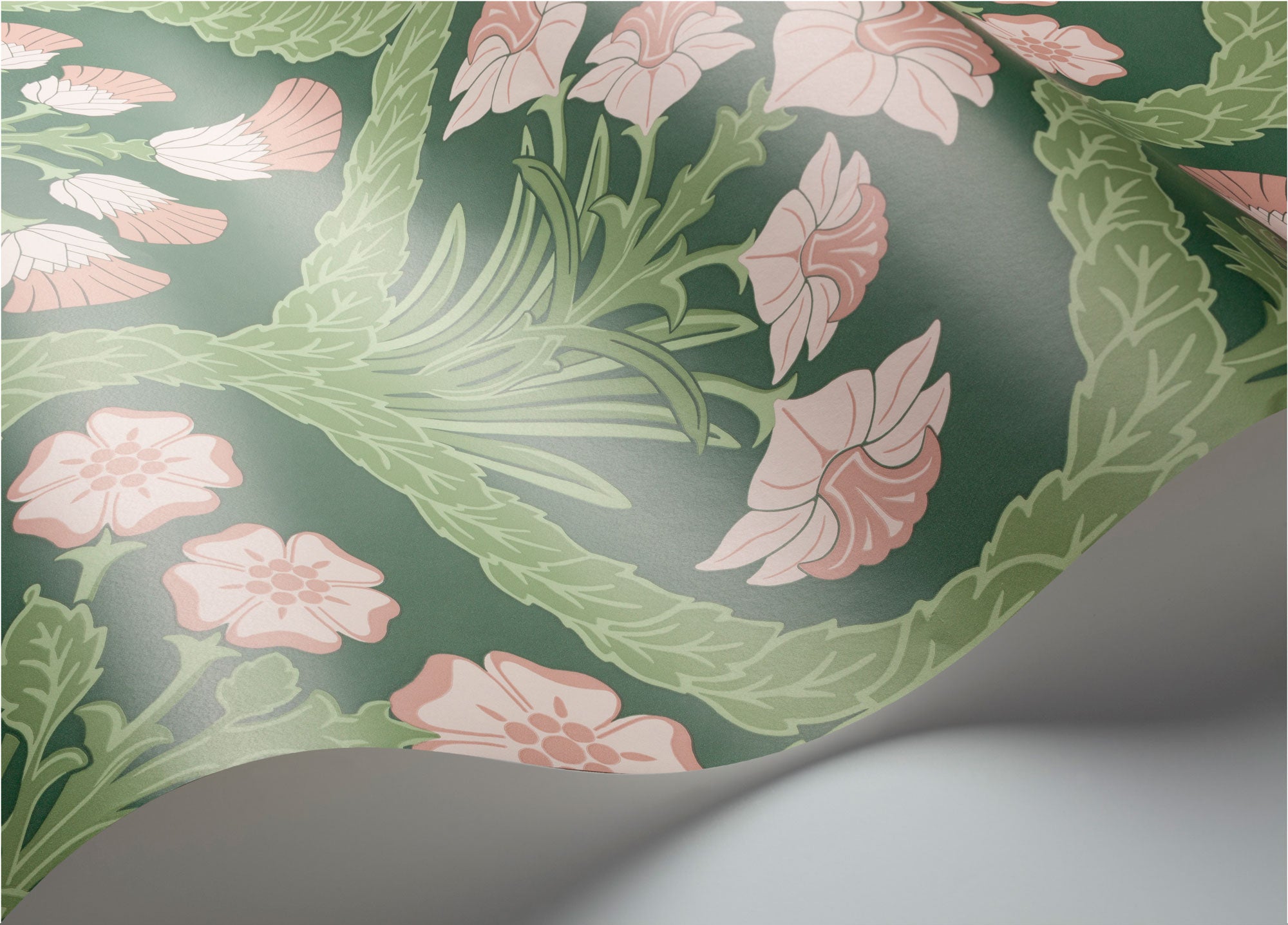 Floral Kingdom - Ballet Slipper & Leaf Green