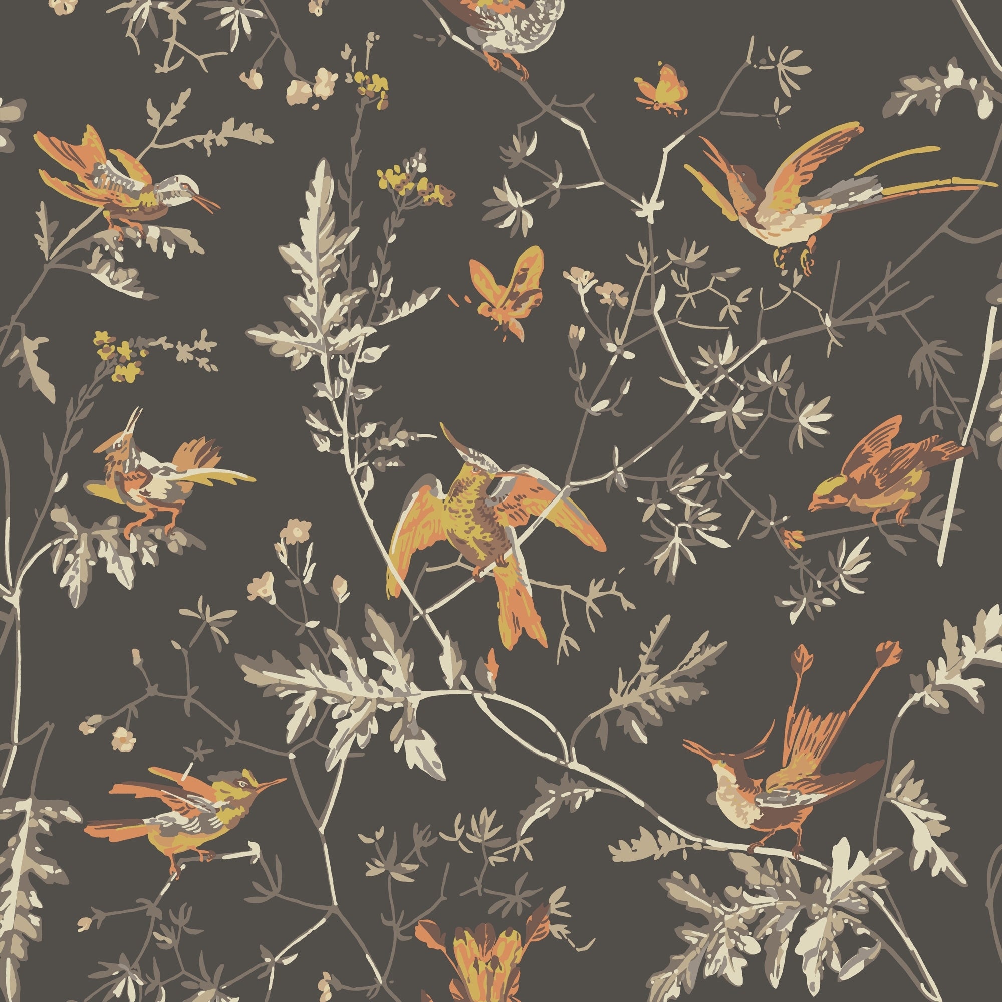 Hummingbirds - Charcoal & Ginger