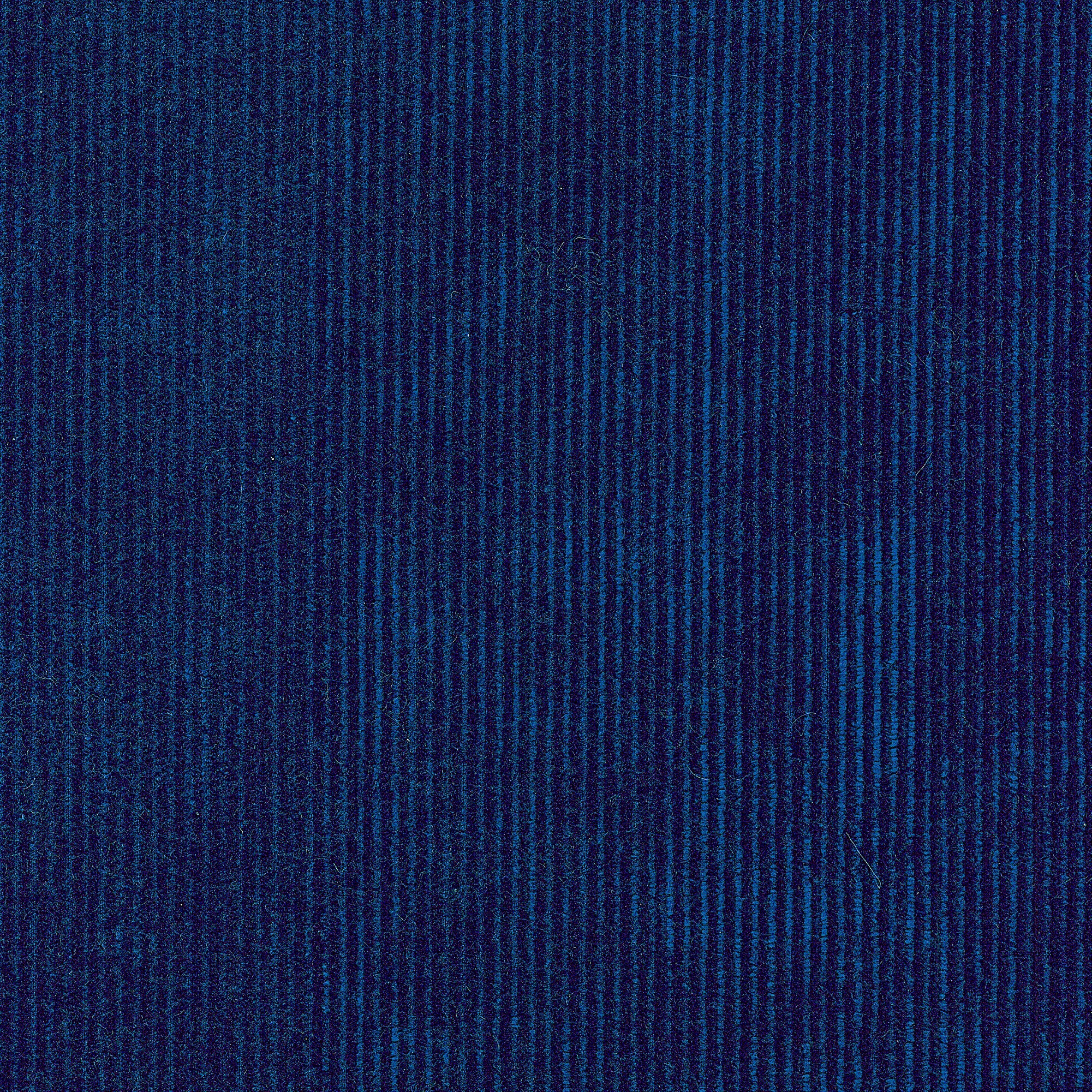 Tinneroy - Dark Blue