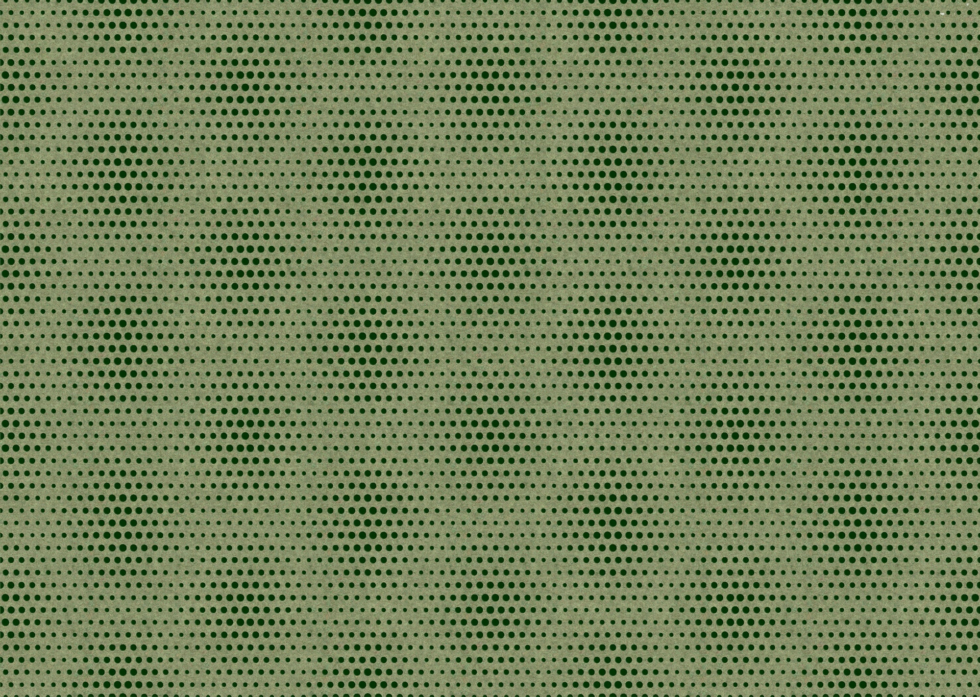 Blooming Seadragon - Pine