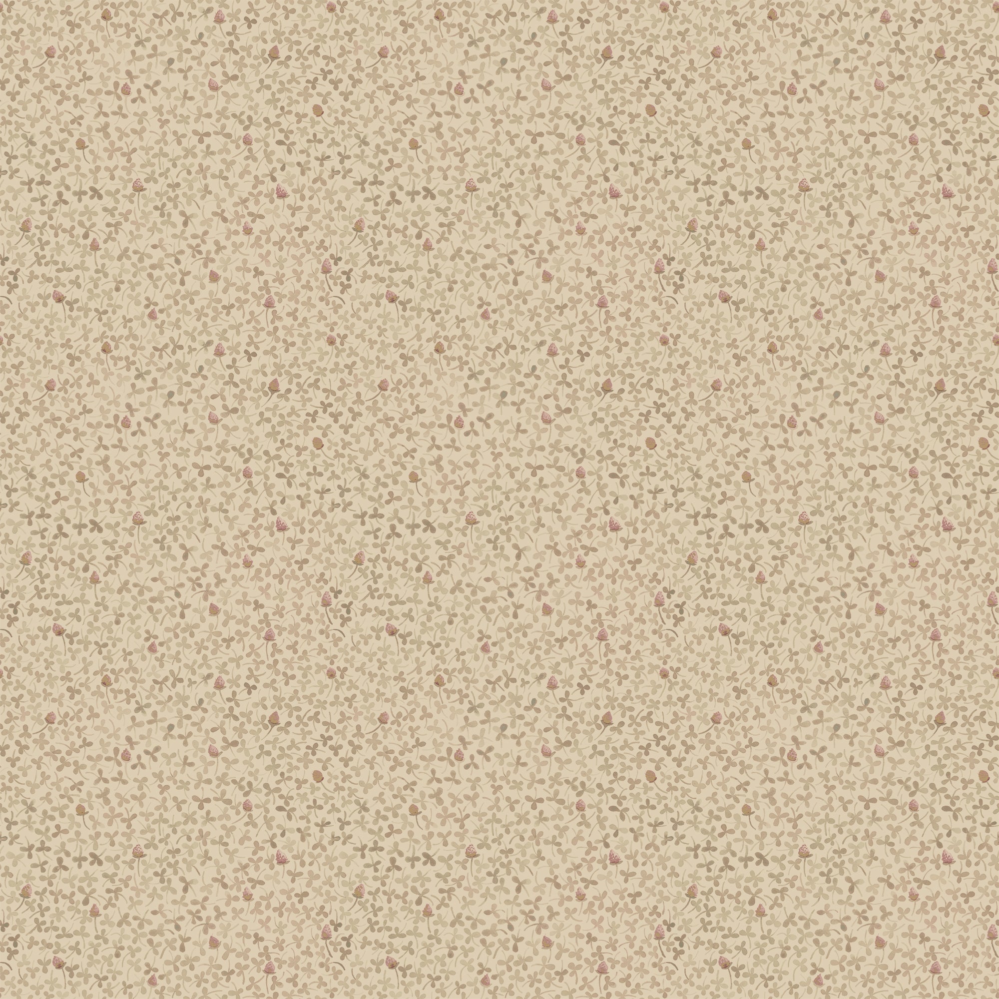 Clover - Light Apricot
