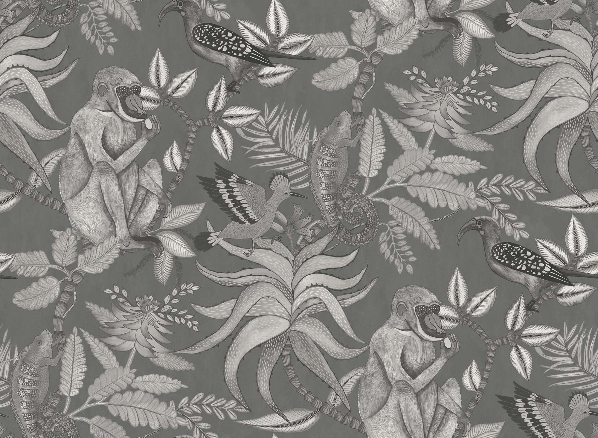 Savuti - Grey