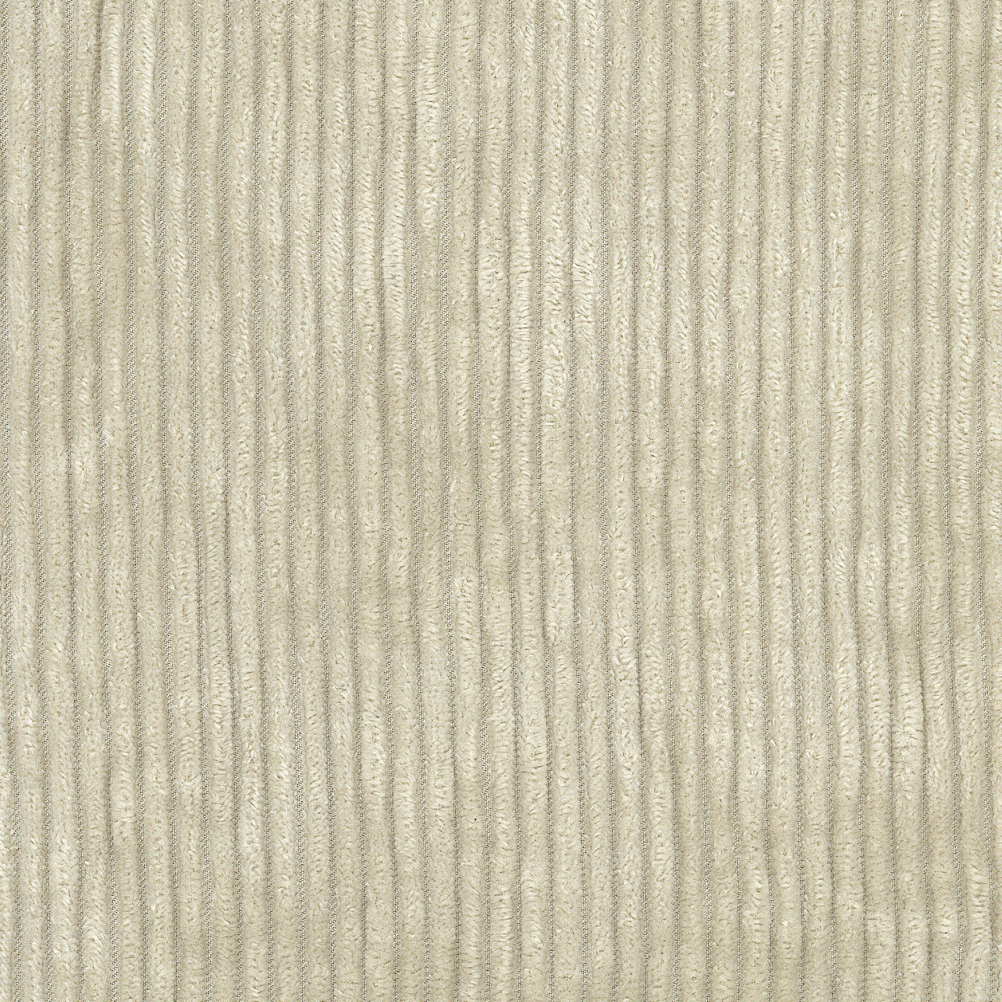 Corduroy - Cream