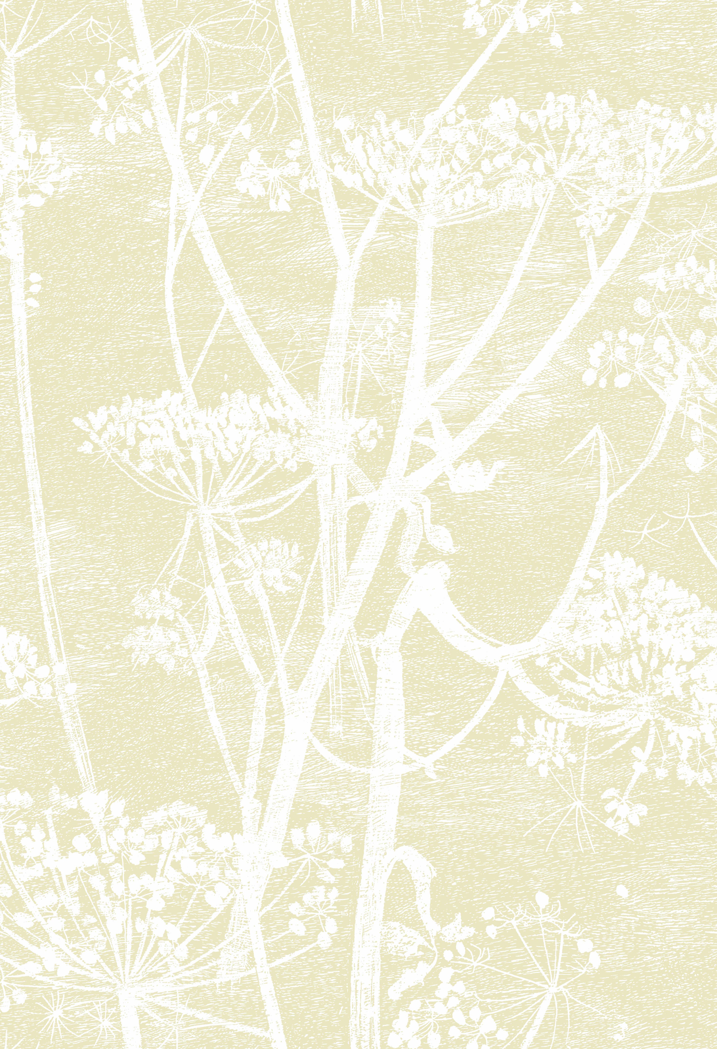 Cow Parsley - White & Yellow