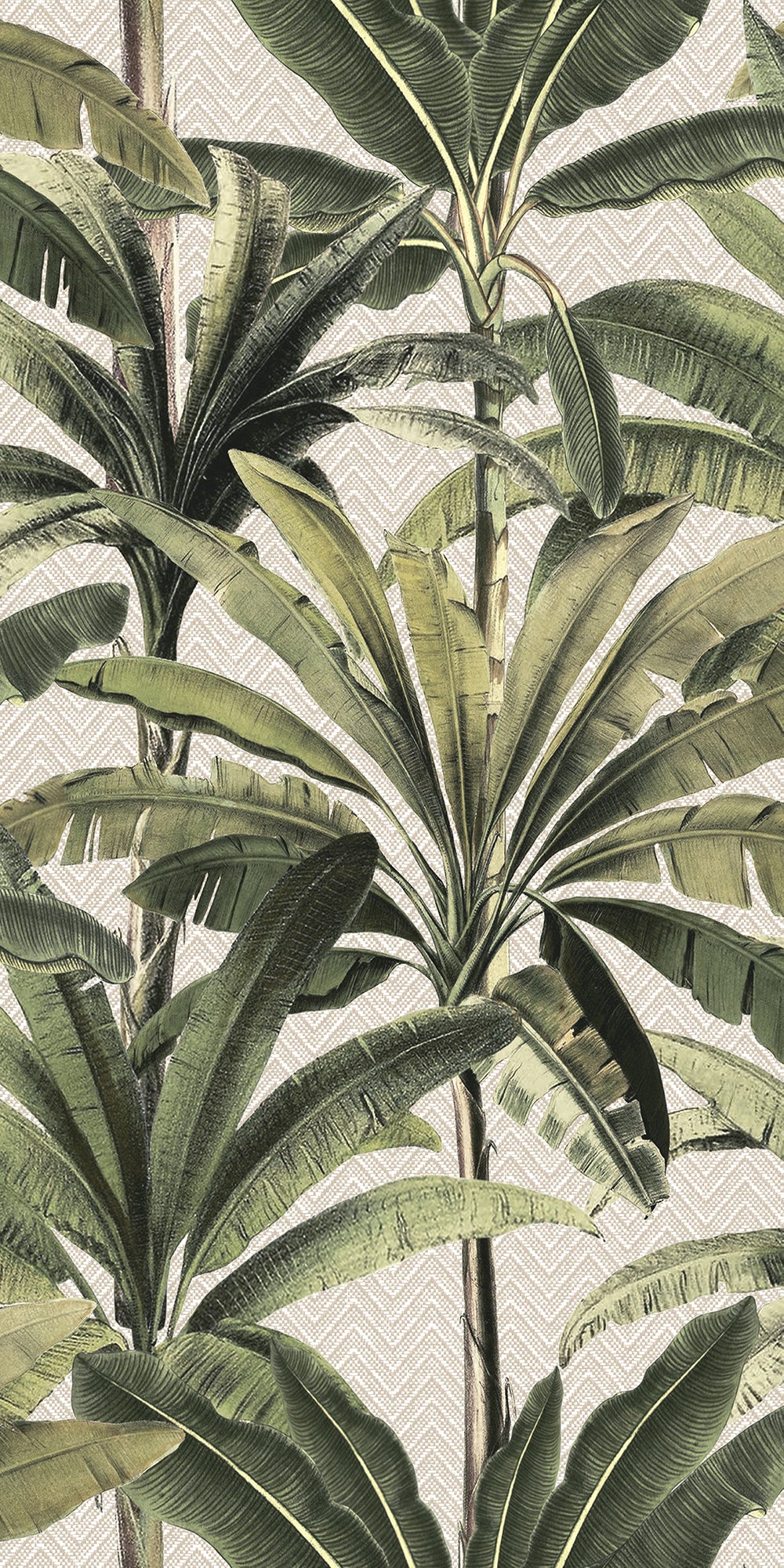 Palmera - Green