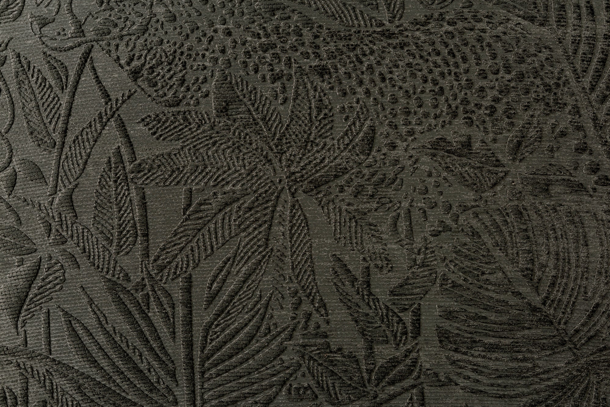 Panthera - Ebony