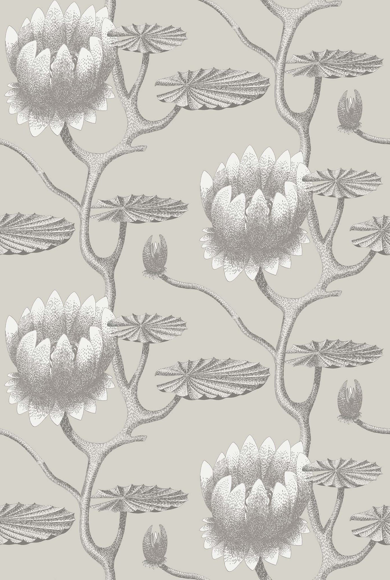 Summer Lily - White on Stone