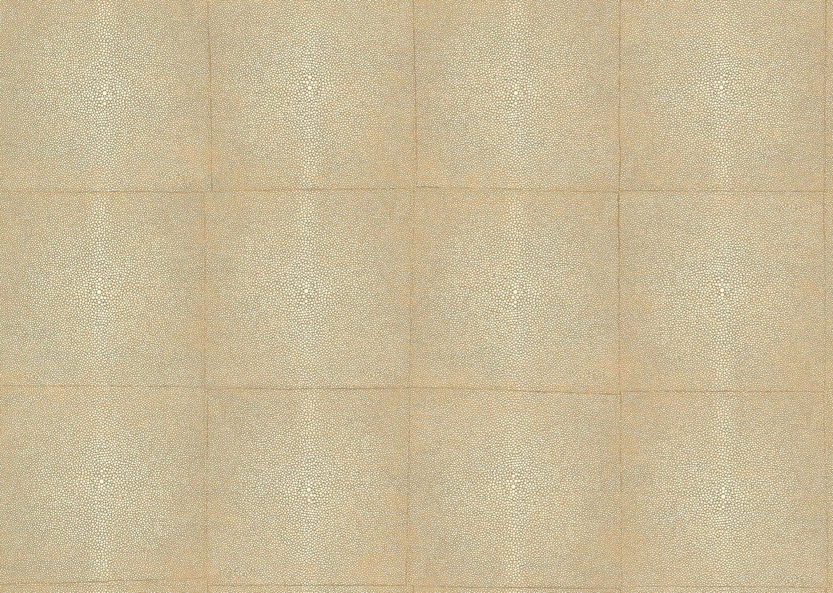 Shagreen - Sand