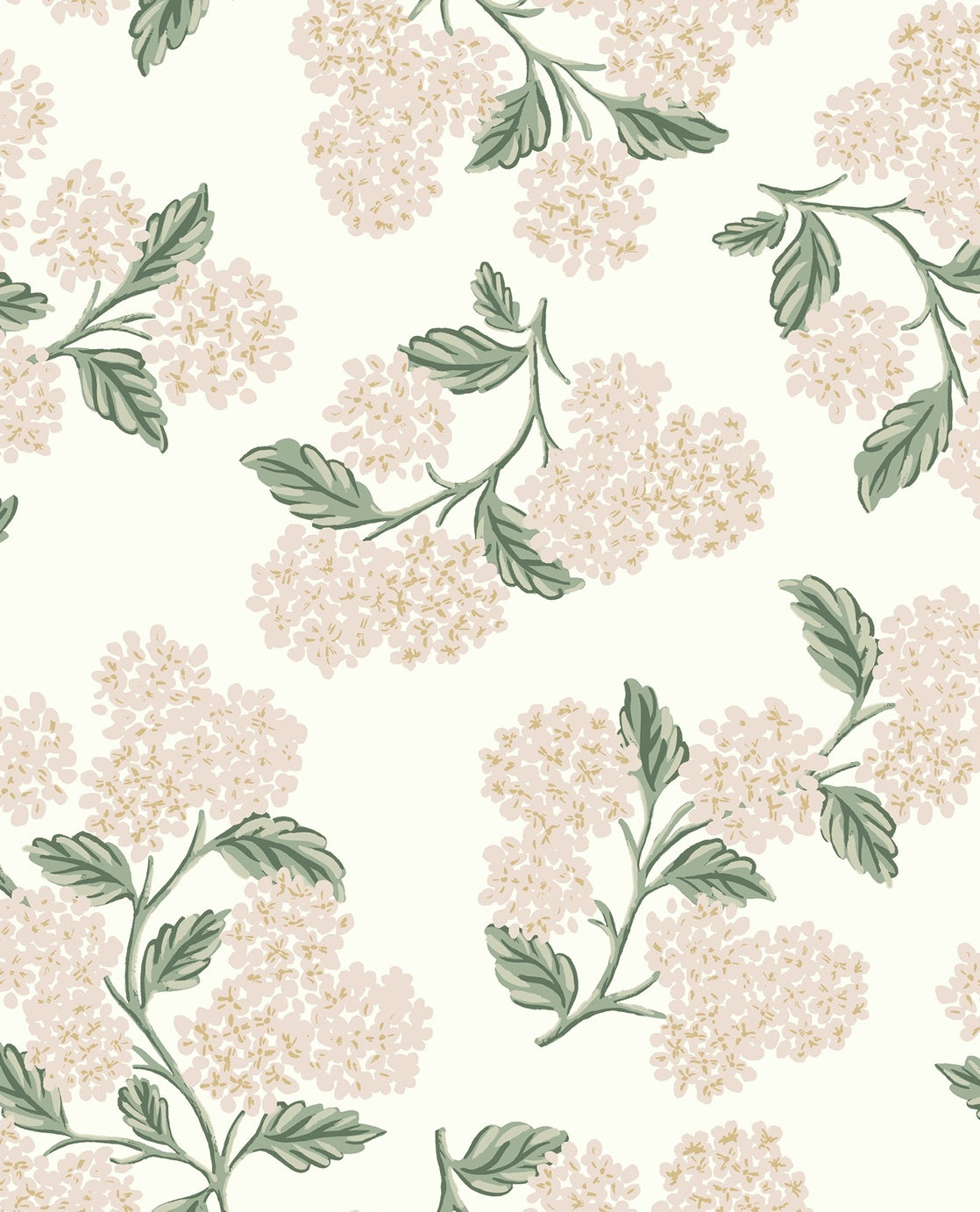 Hydrangea - Rose
