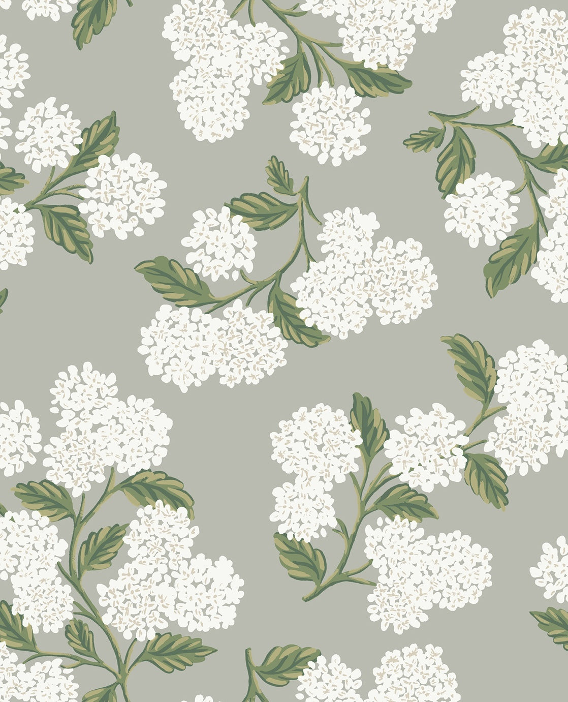 Hydrangea - Grey