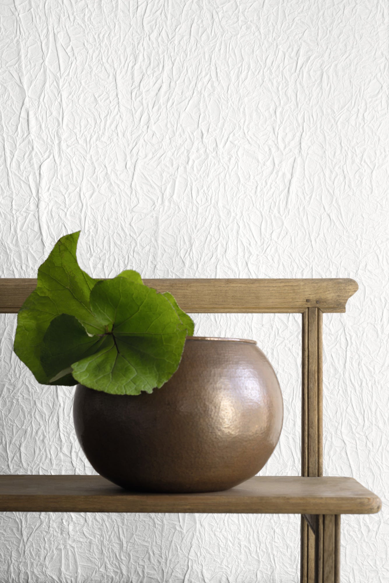 Washi - Splendeurs d’une favorite - White