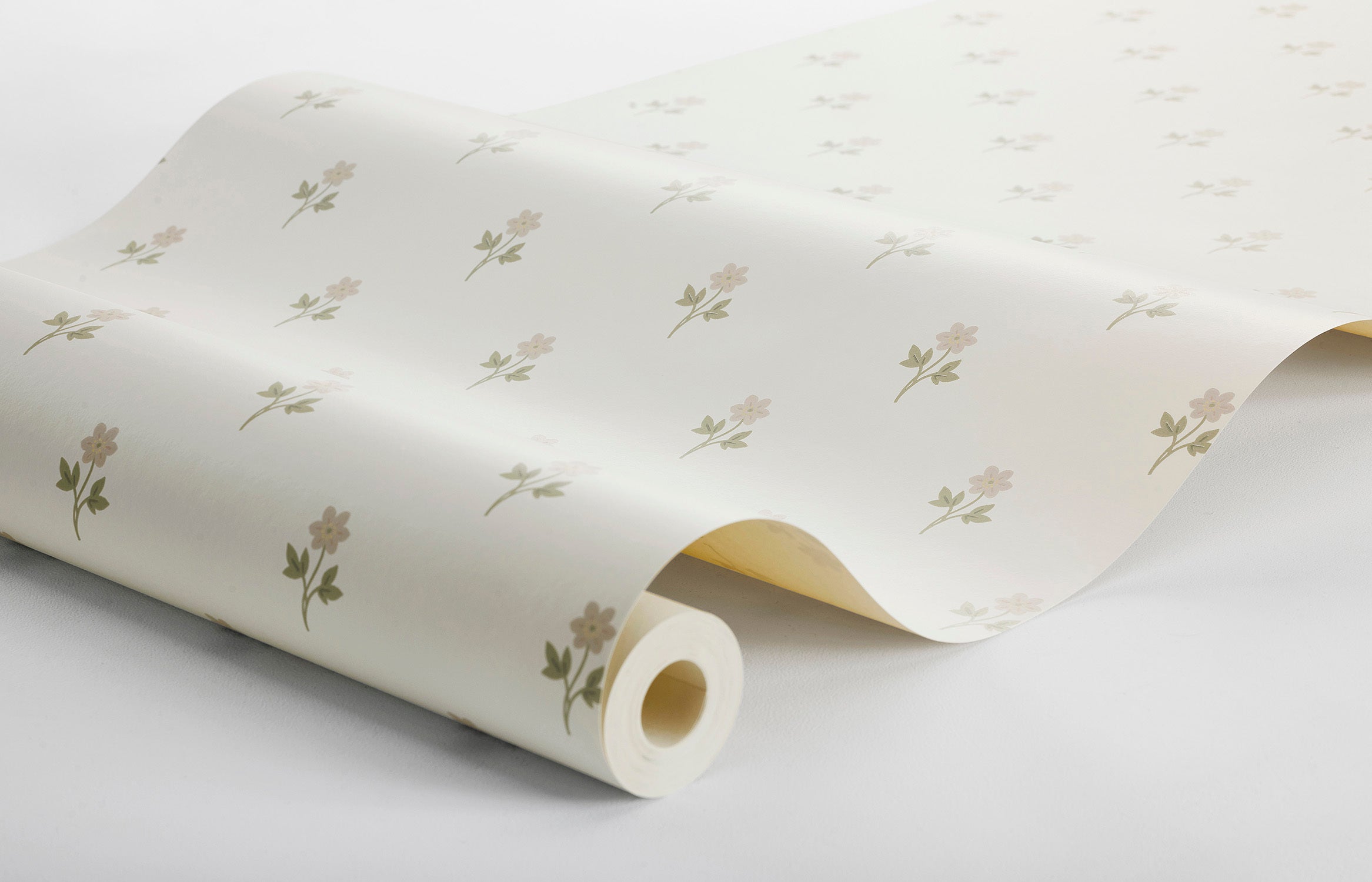 Anemone - Cream