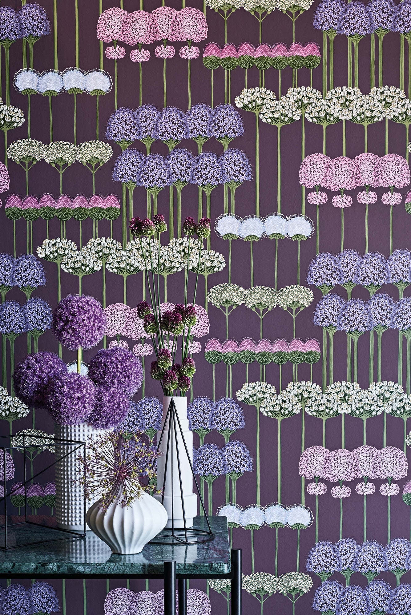 Allium
