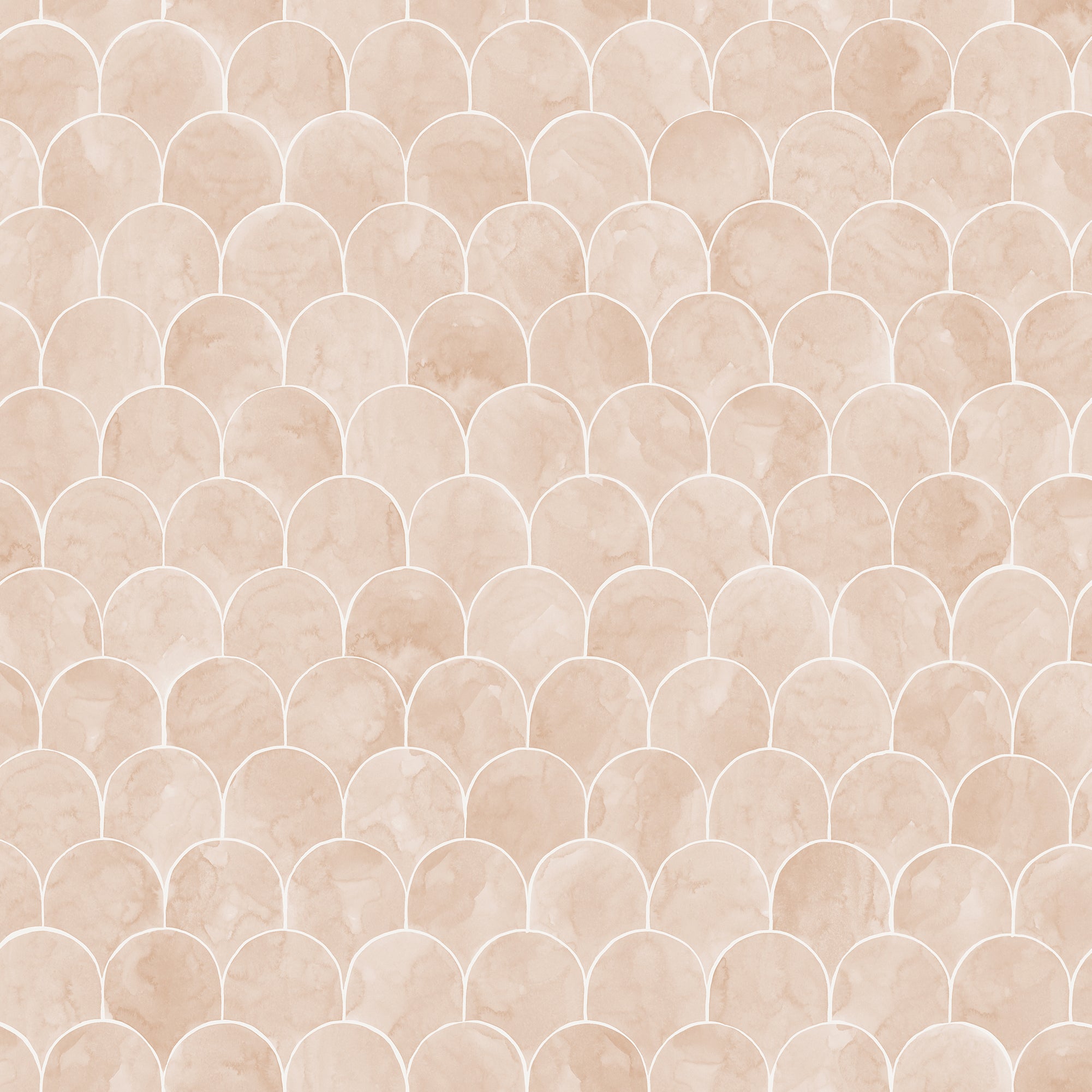 Igor - Coral
