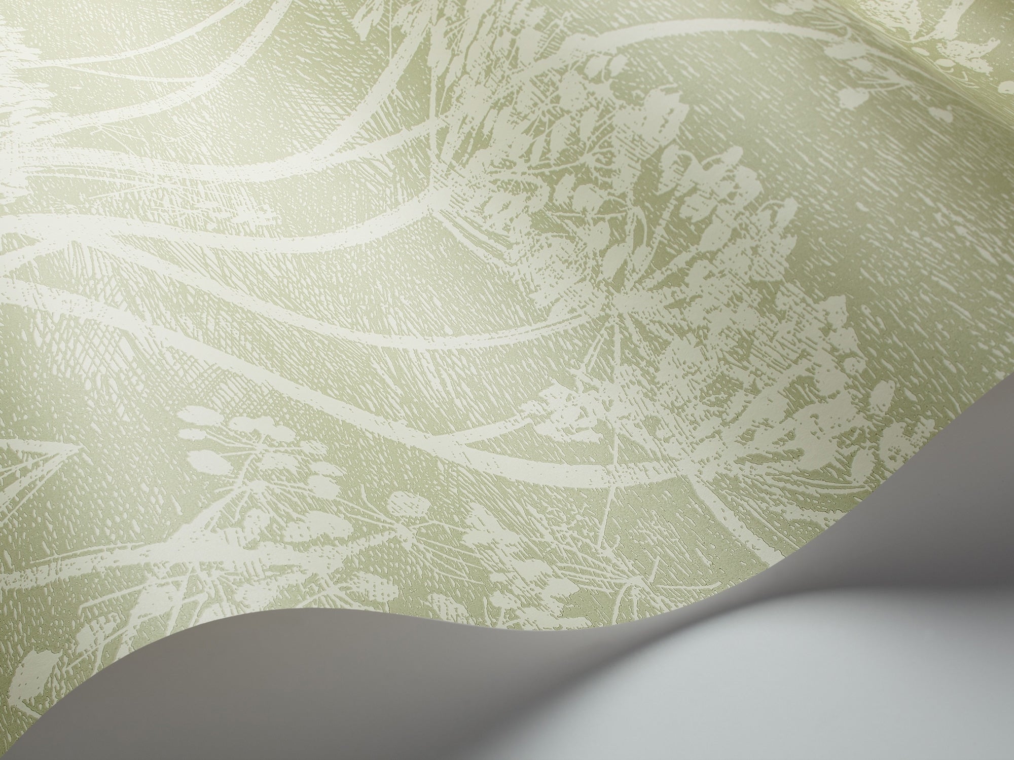 Cow Parsley - Olive