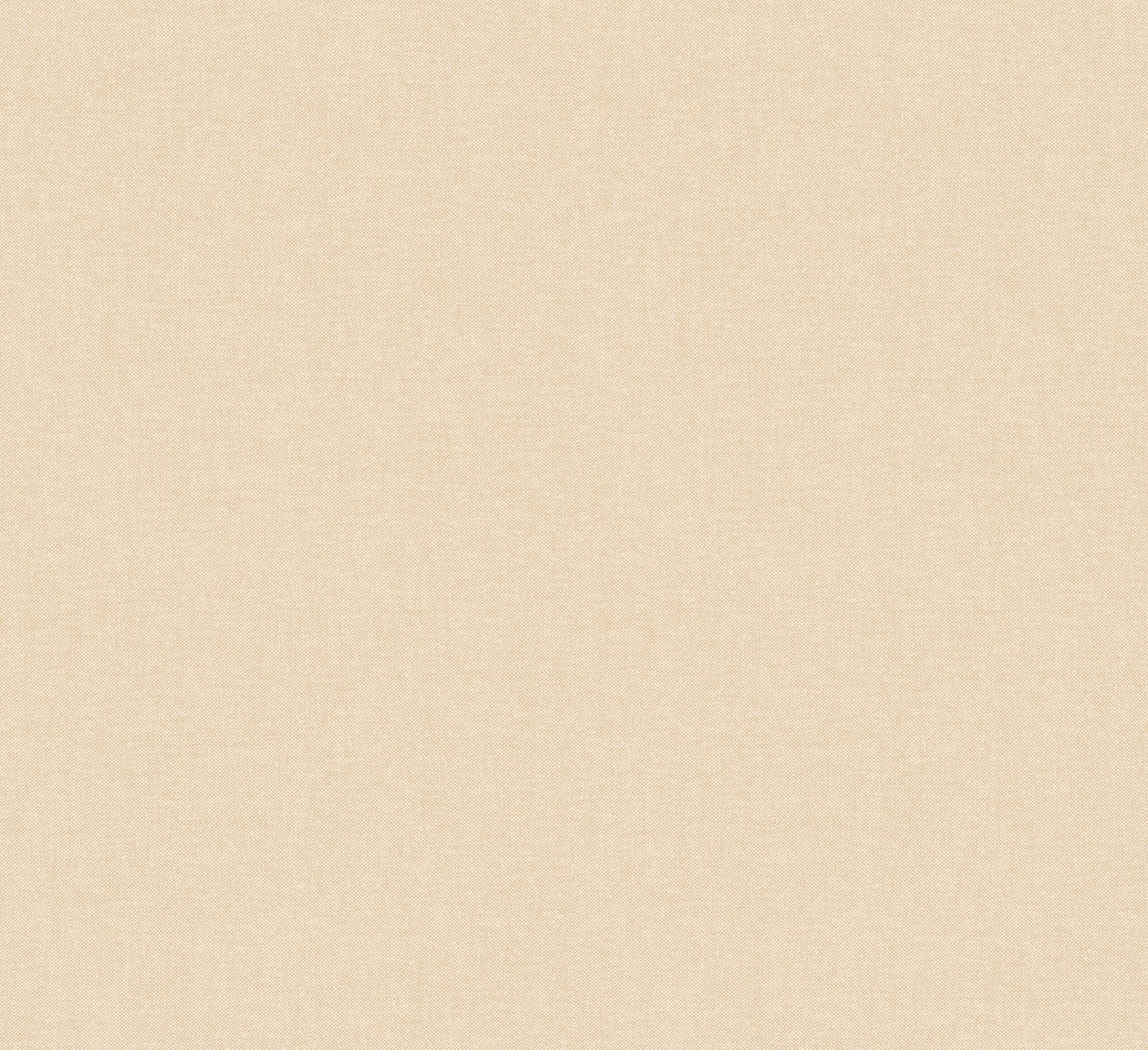 LIN - Canvas